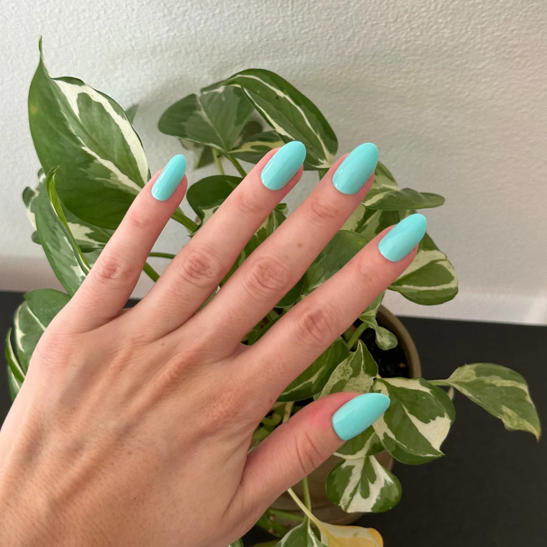 All Manis on Deck | Medium | Oval - Tab Press-On - Image 5