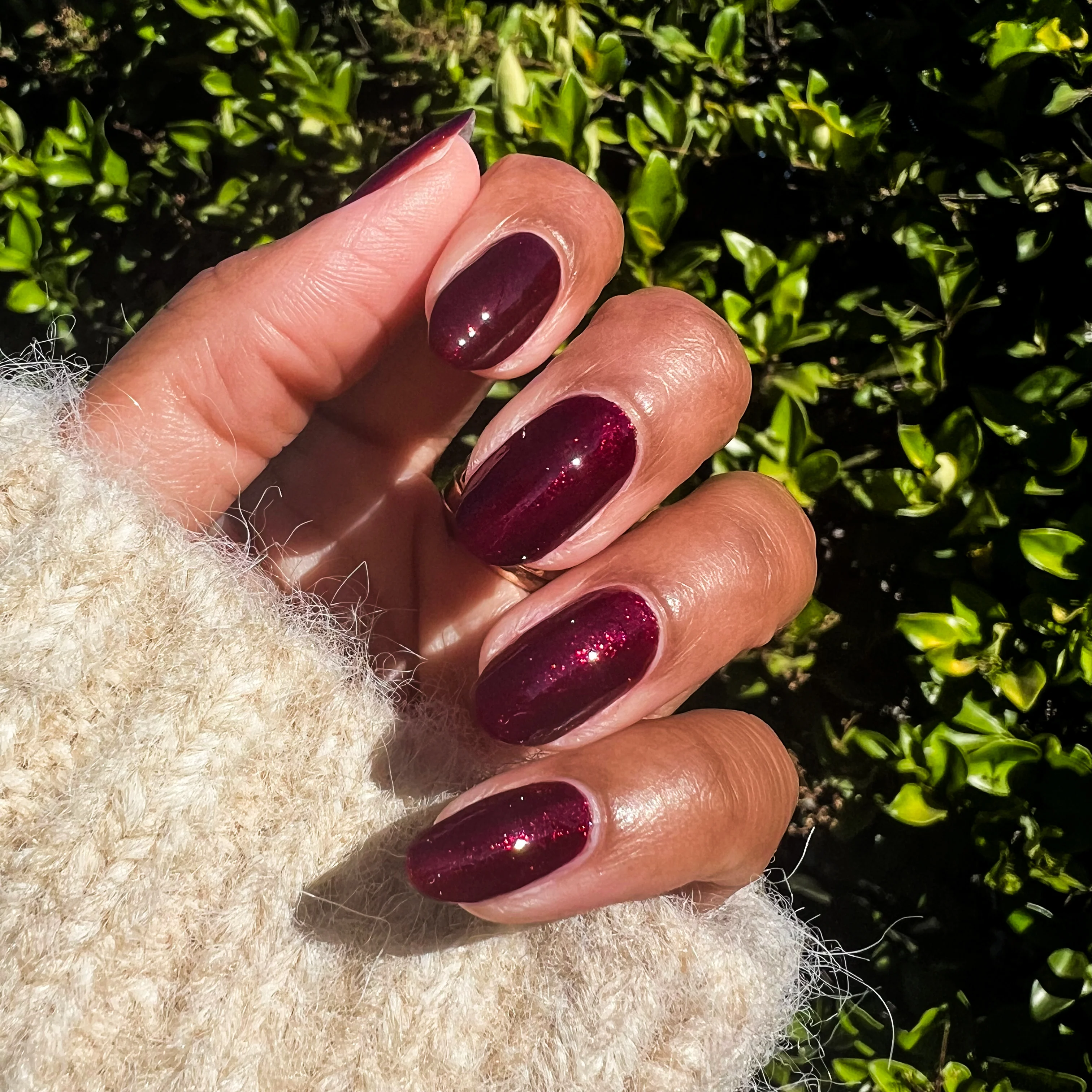 Bittersweet Cherry - Image 2