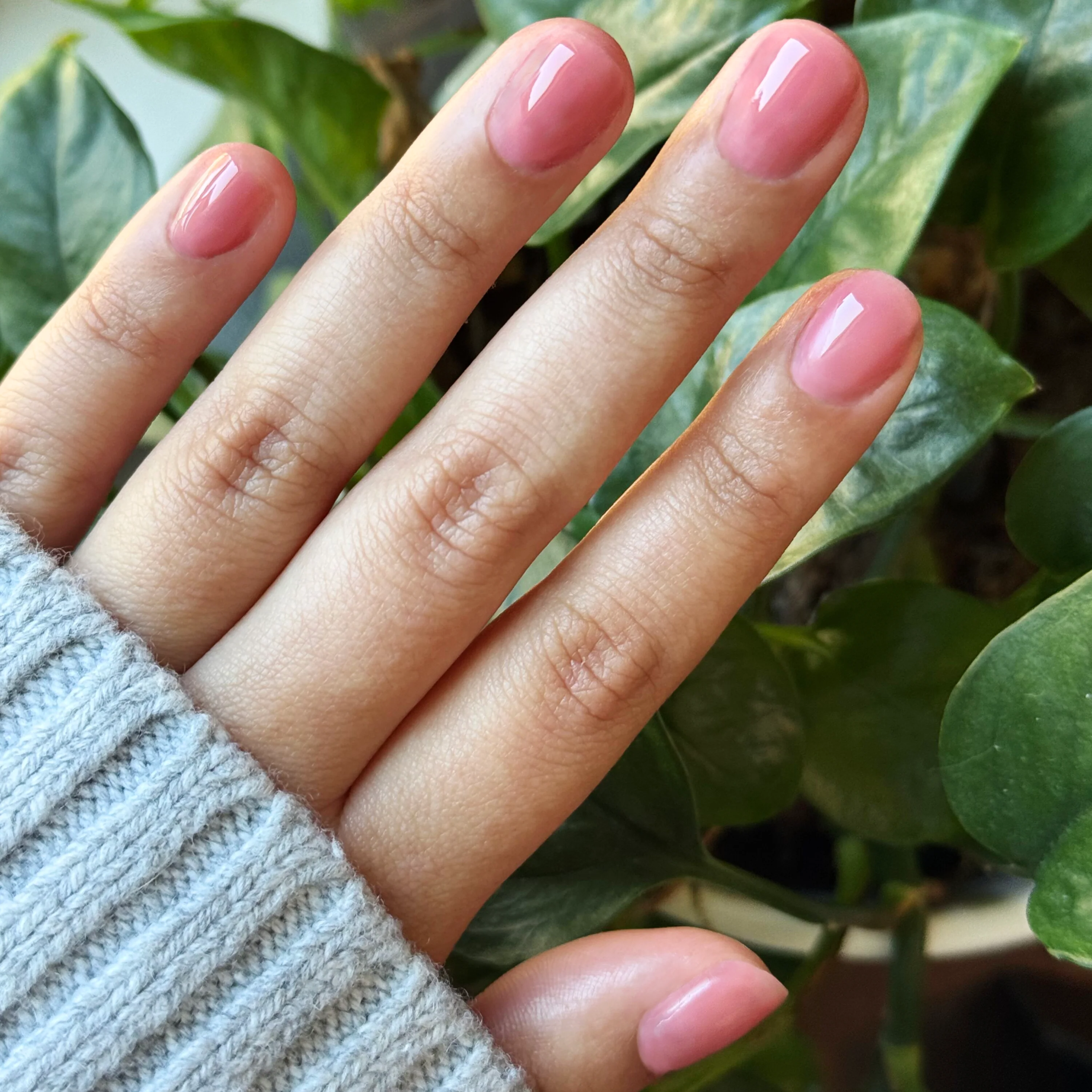 Blush Jelly - Builder Gel - Image 7
