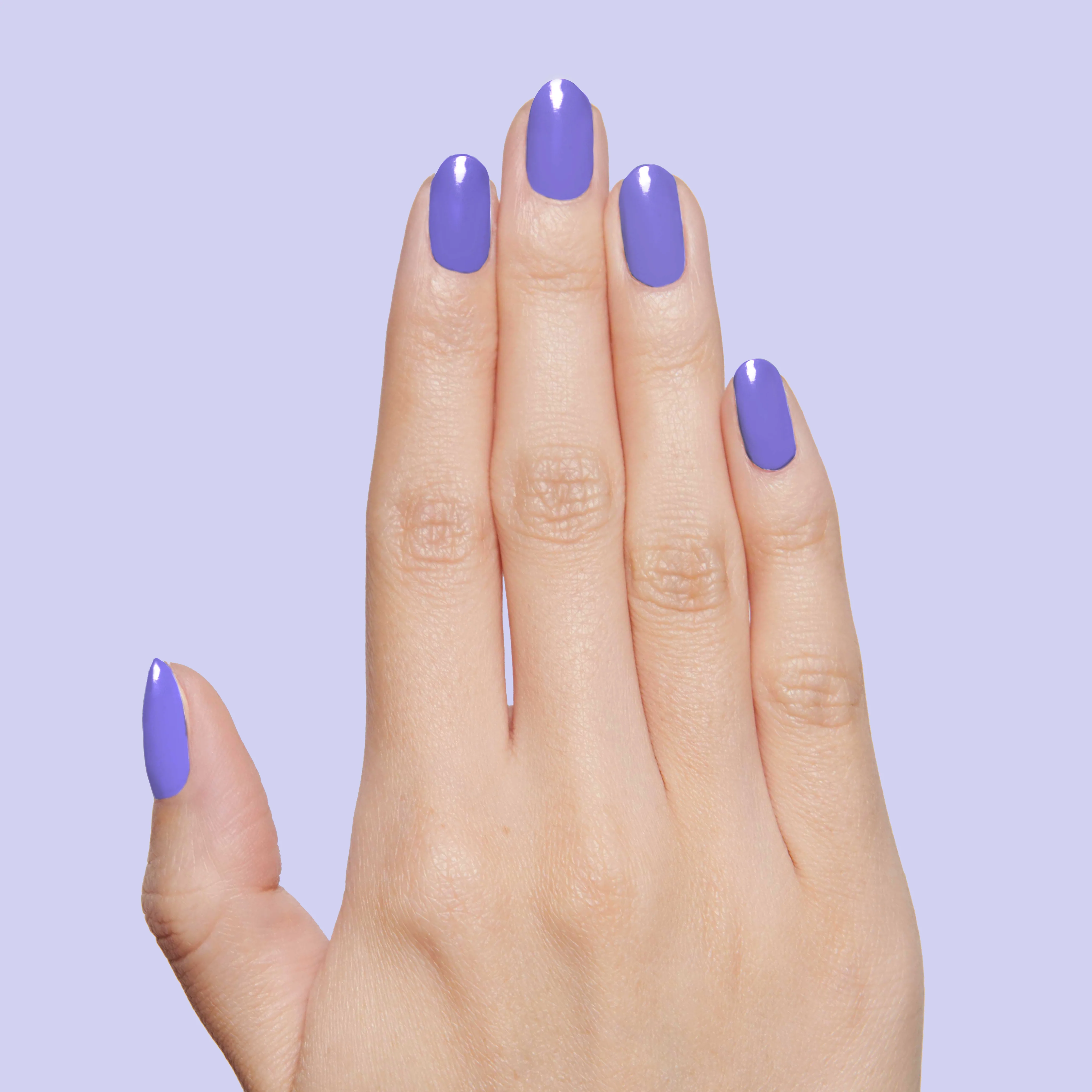 Bold & Unshaken - Image 3