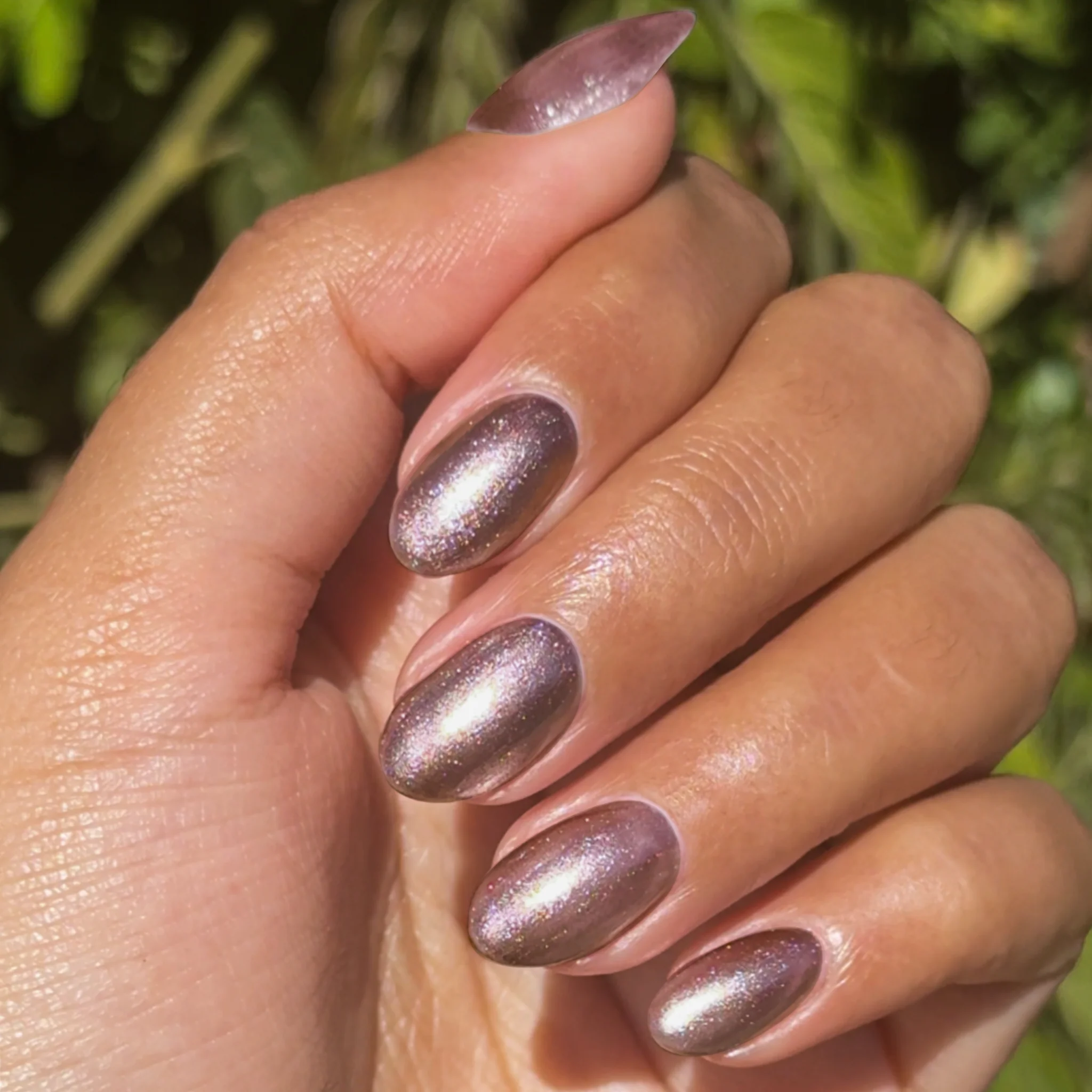 Bronze Velvet - Image 5