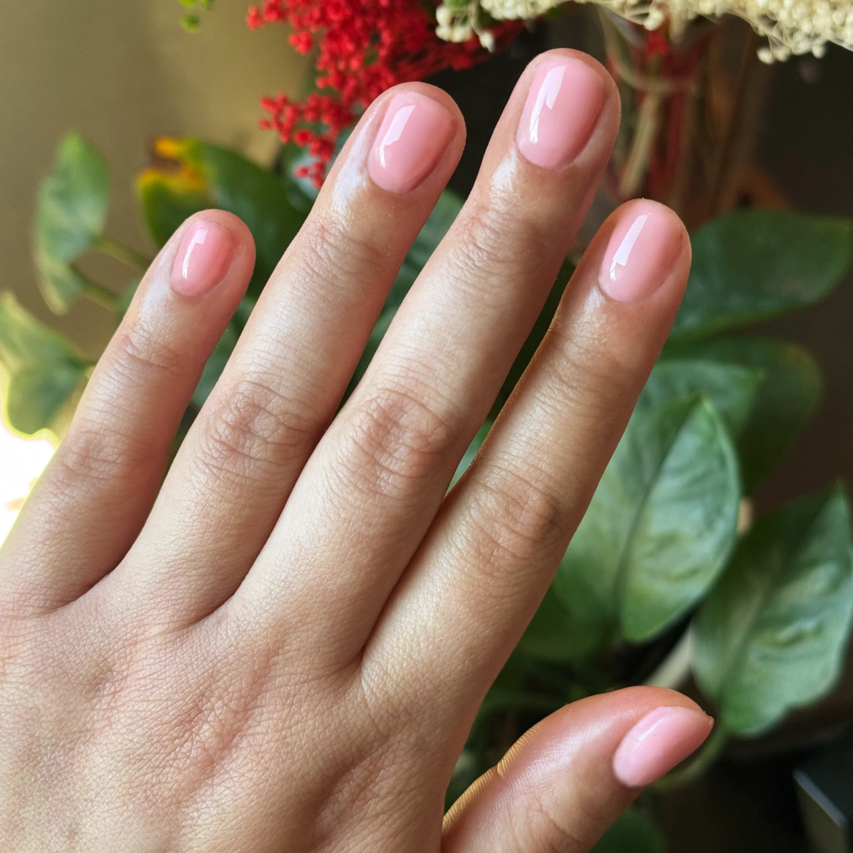 Bubble Gloss - Builder Gel - Image 8