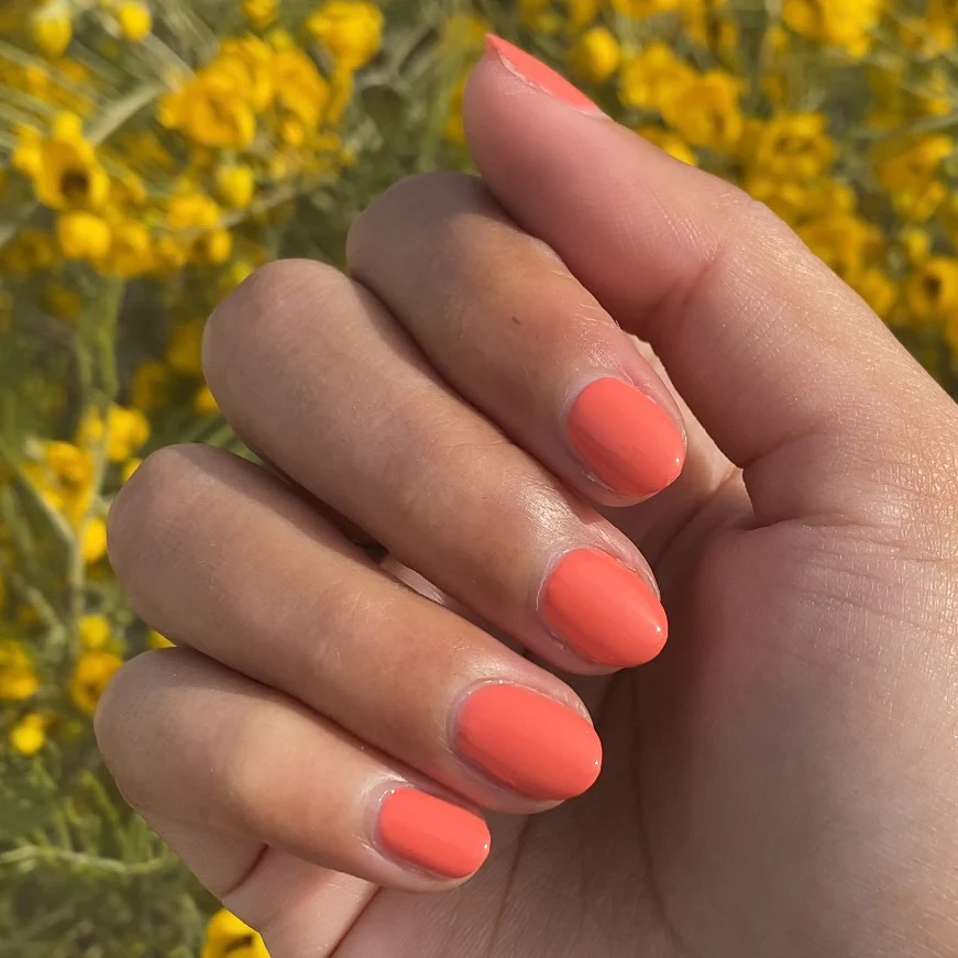 Carrot Juice - Image 7