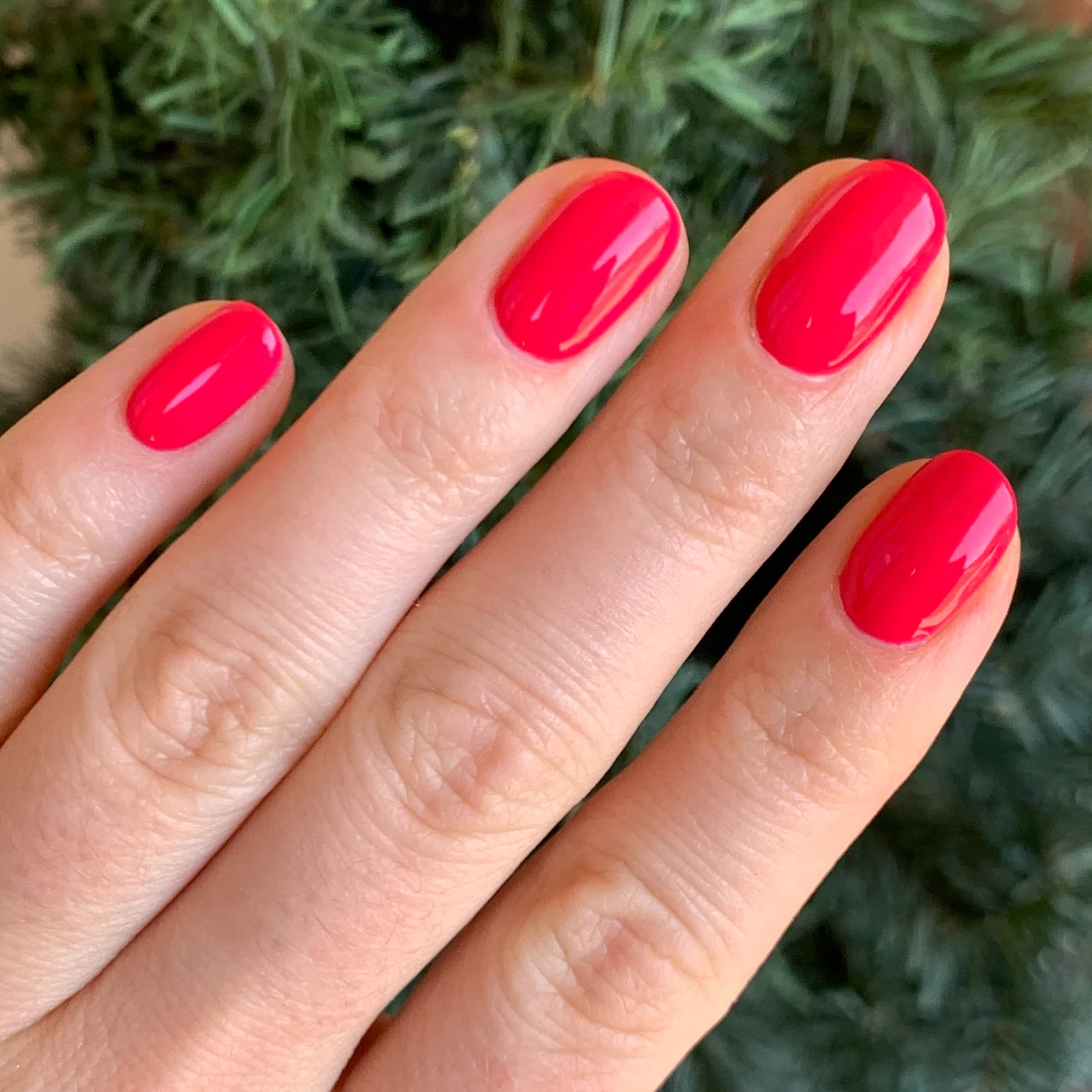 Cherry Crush - Image 7