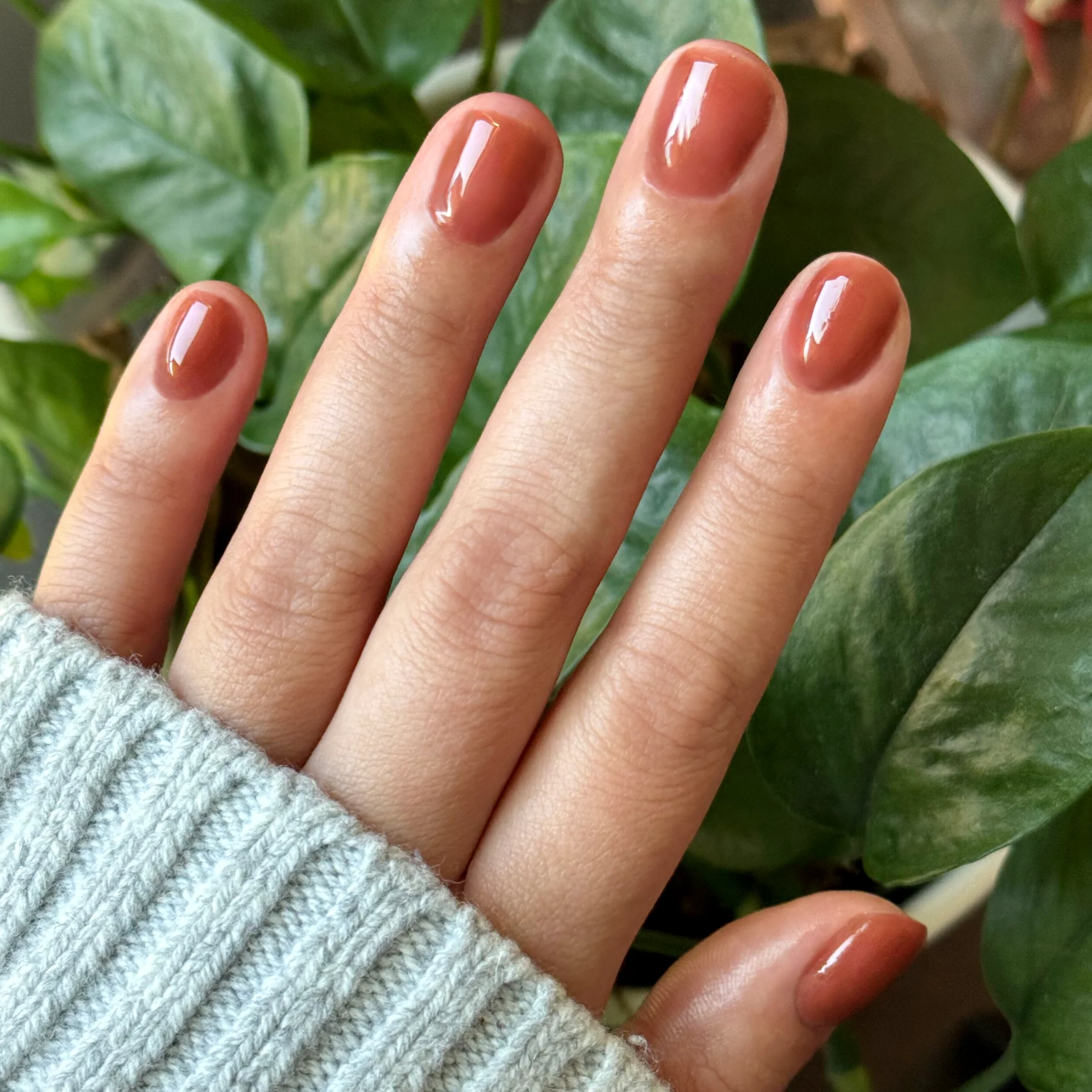 Cocoa Mousse - Builder Gel - Image 8