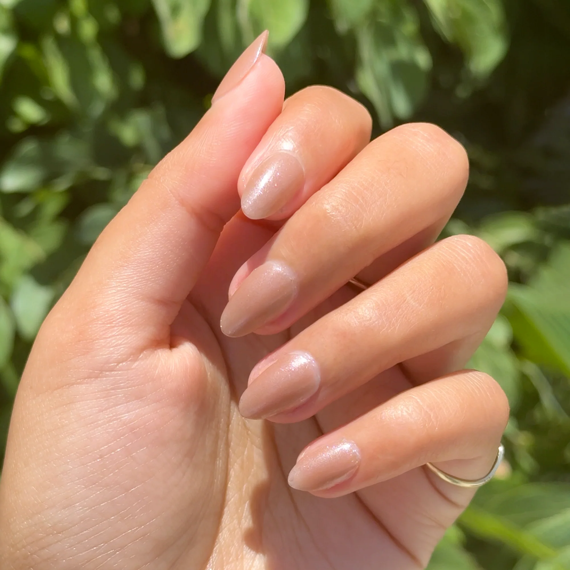 Coconut Shimmer Gloss - Image 8