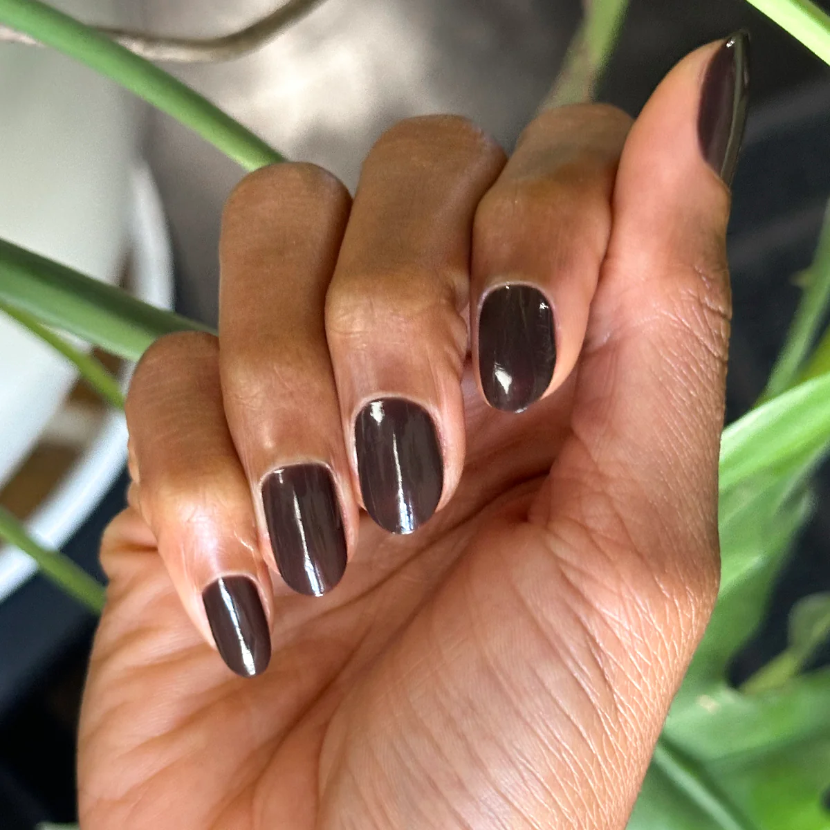Dark Chocolate - Image 8