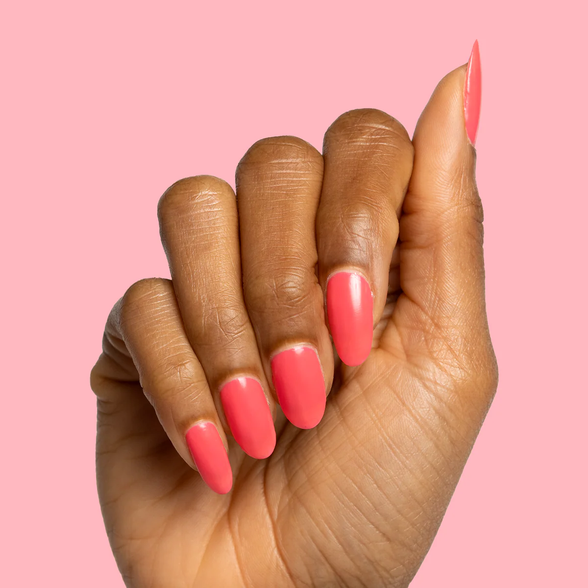 Flamingo - Image 3