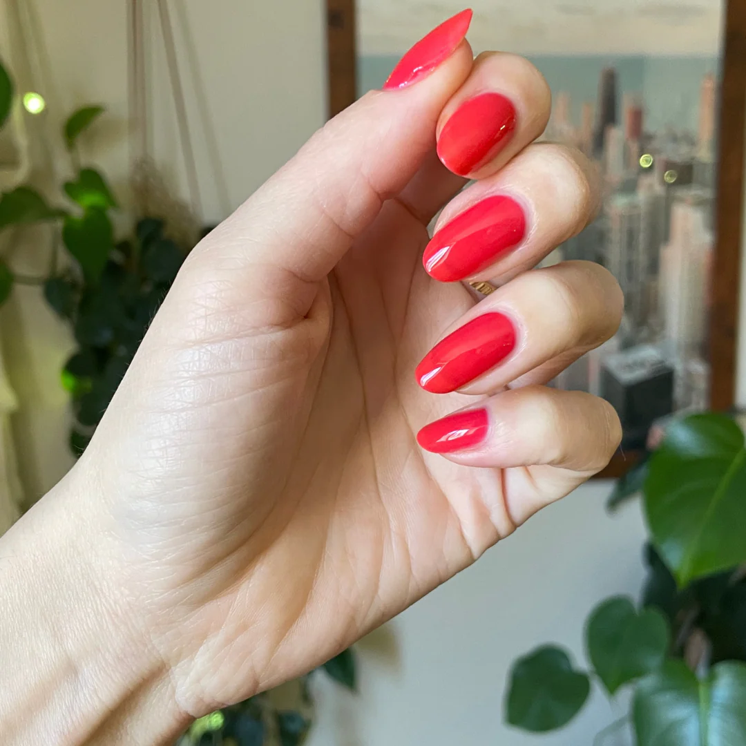 Fragola - Image 6