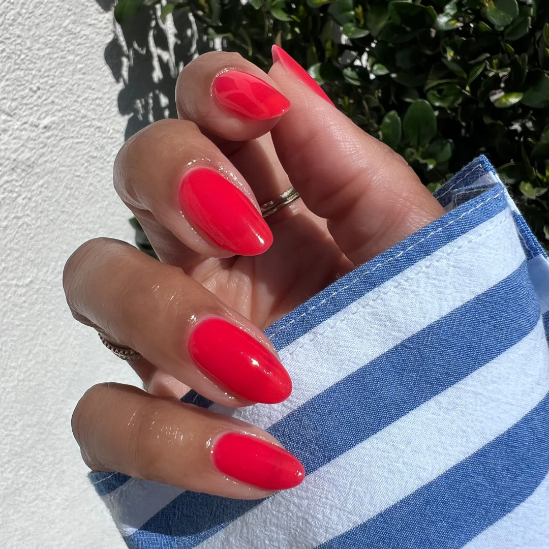 Fragola - Image 8