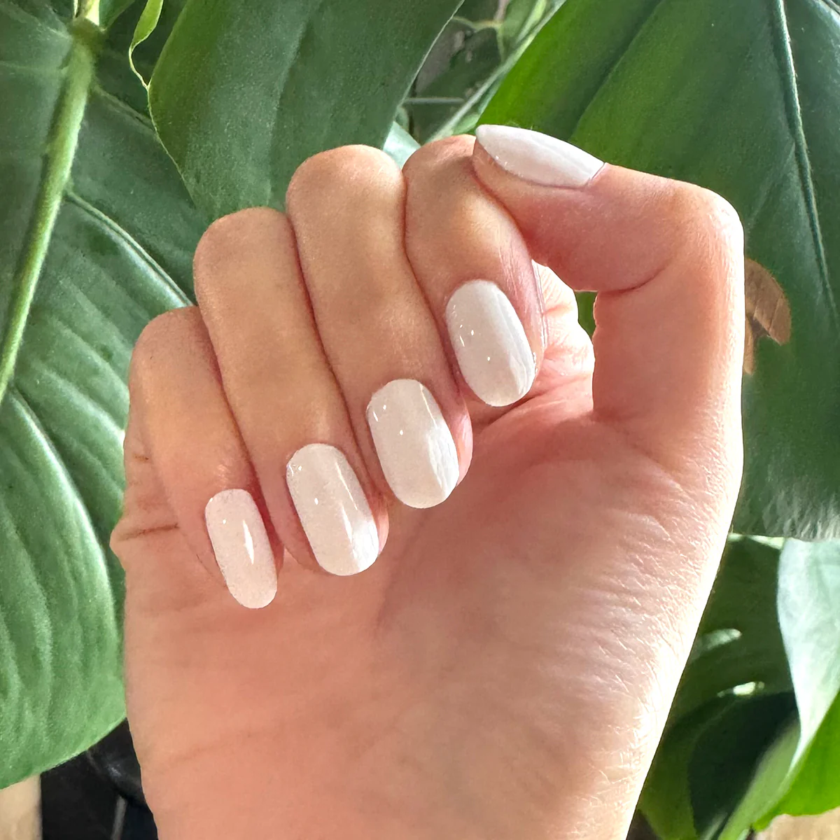 Sheer & Neutral Gel Polish Set - Image 4