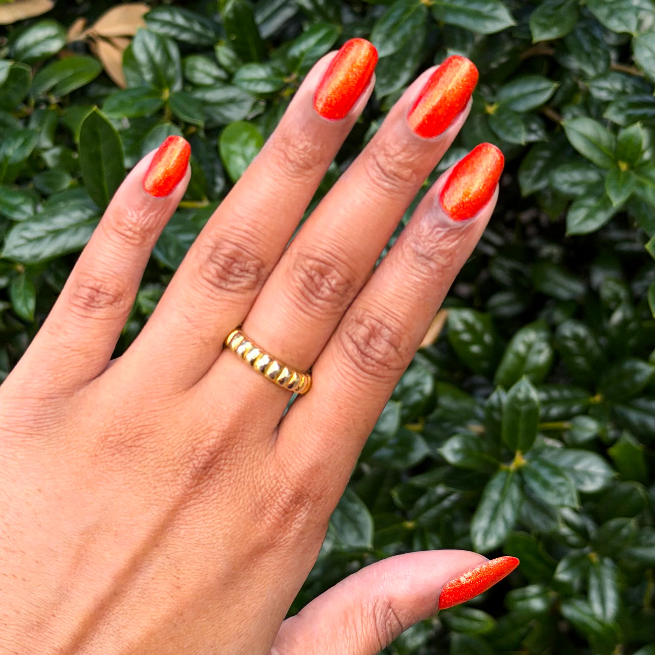 Honk If You Love My Mani - Image 6