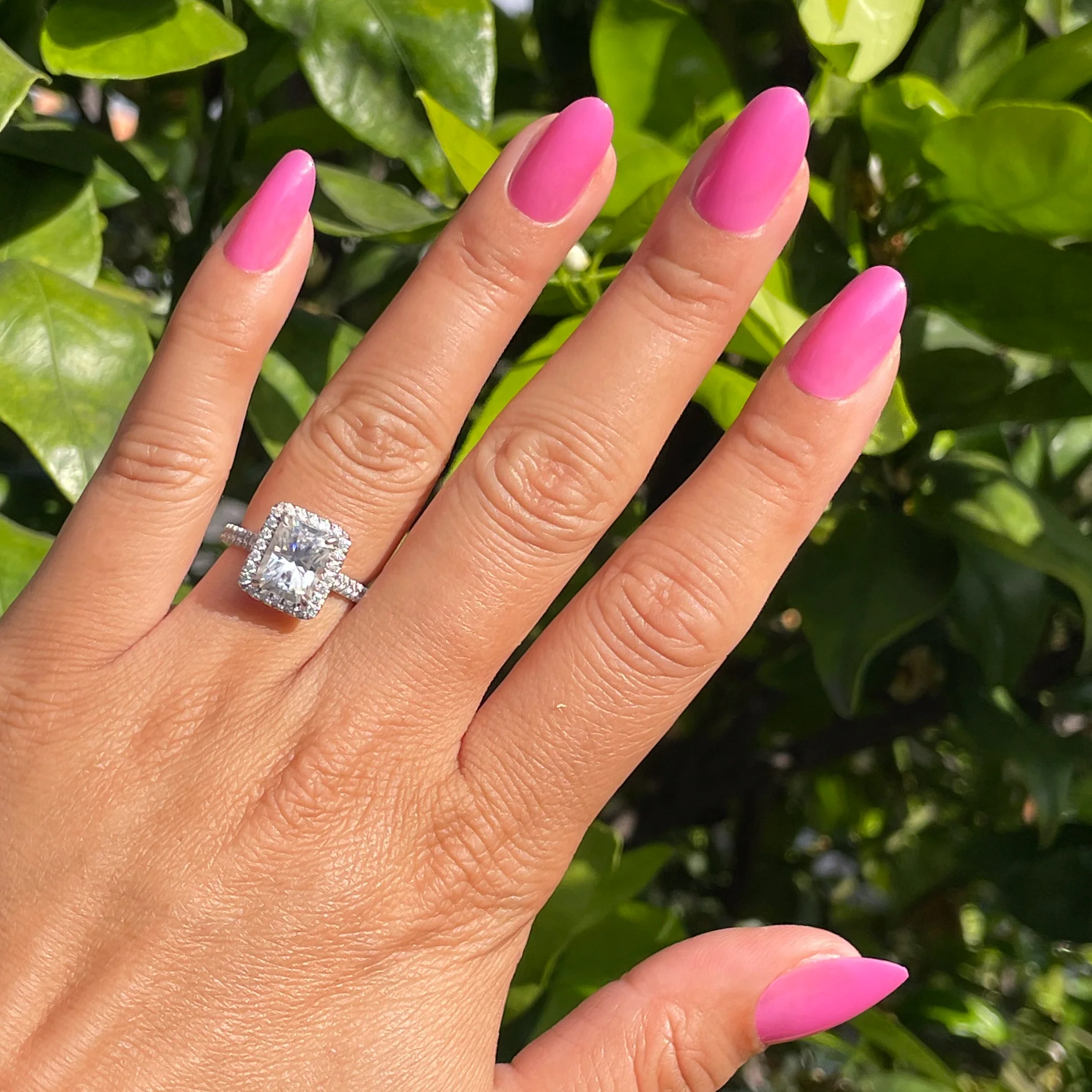 How Do You Spell Bougainvillea? - Press-On | Medium | Oval - Image 3