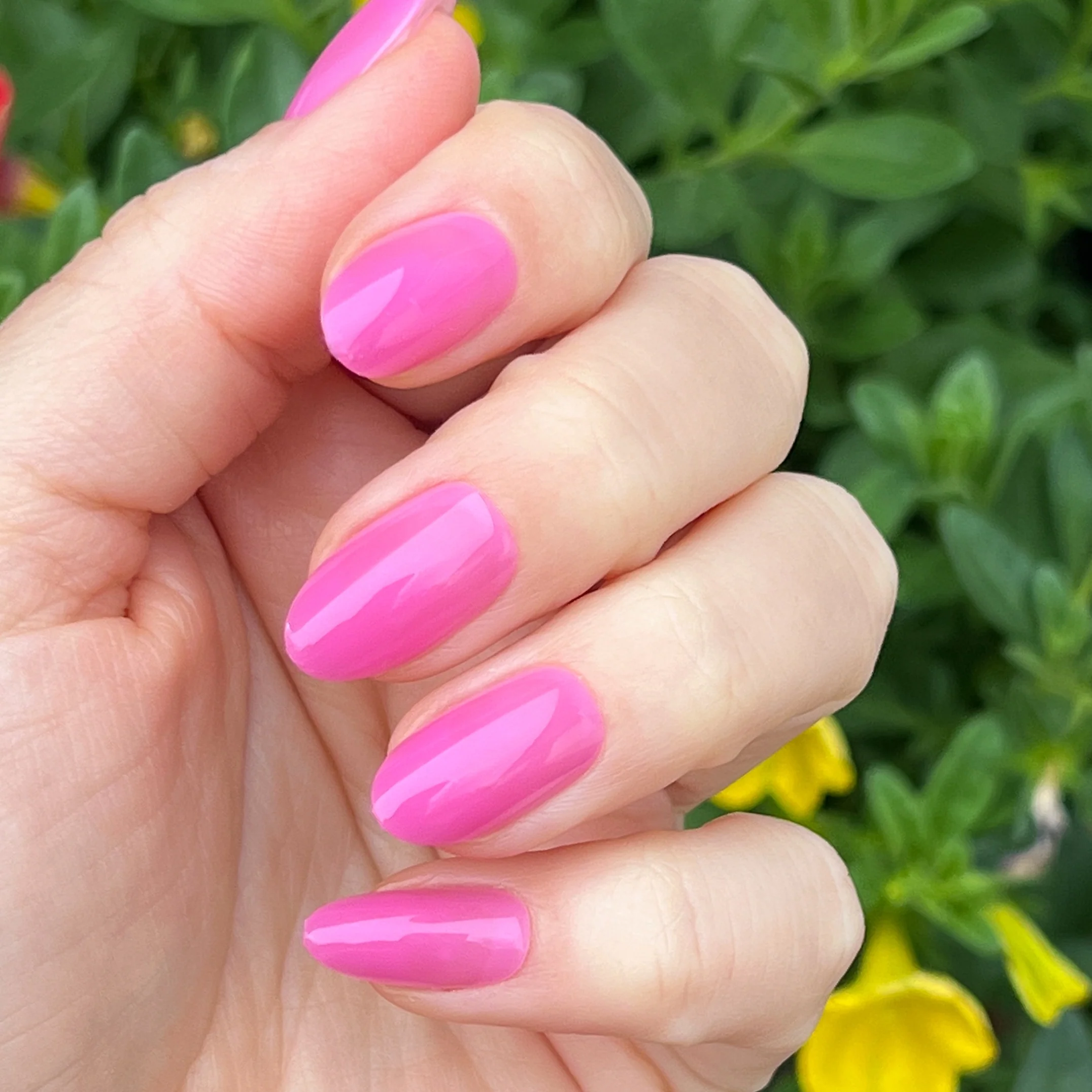 How Do You Spell Bougainvillea? - Press-On | Medium | Oval - Image 4