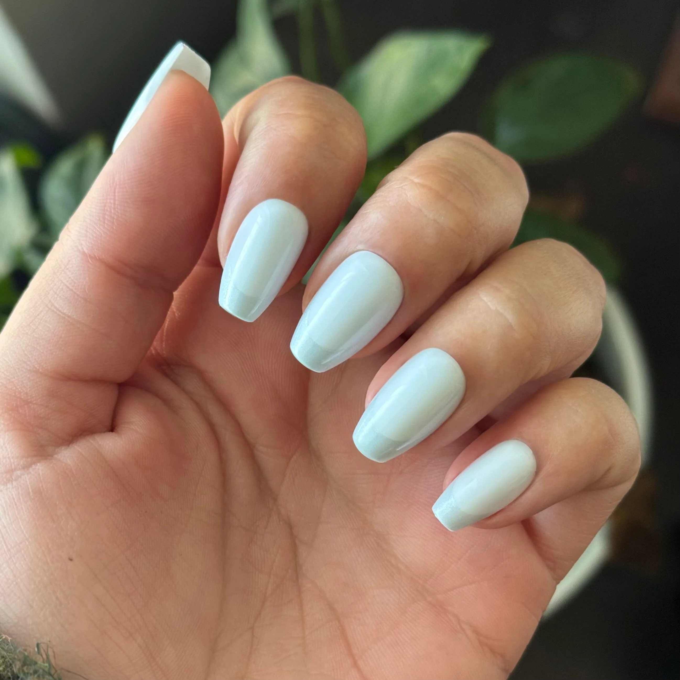 Icy Blue Velvet - Press On | Medium | Coffin - Image 3