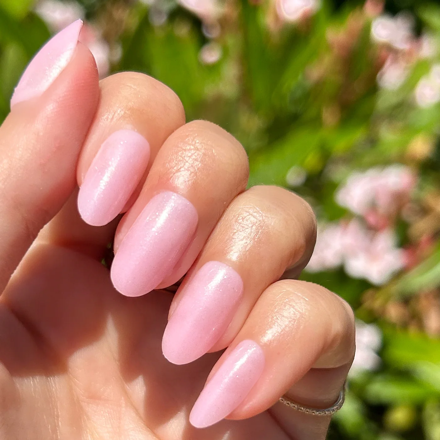 Iridescent Pink - Press-On | Medium | Oval - Image 5