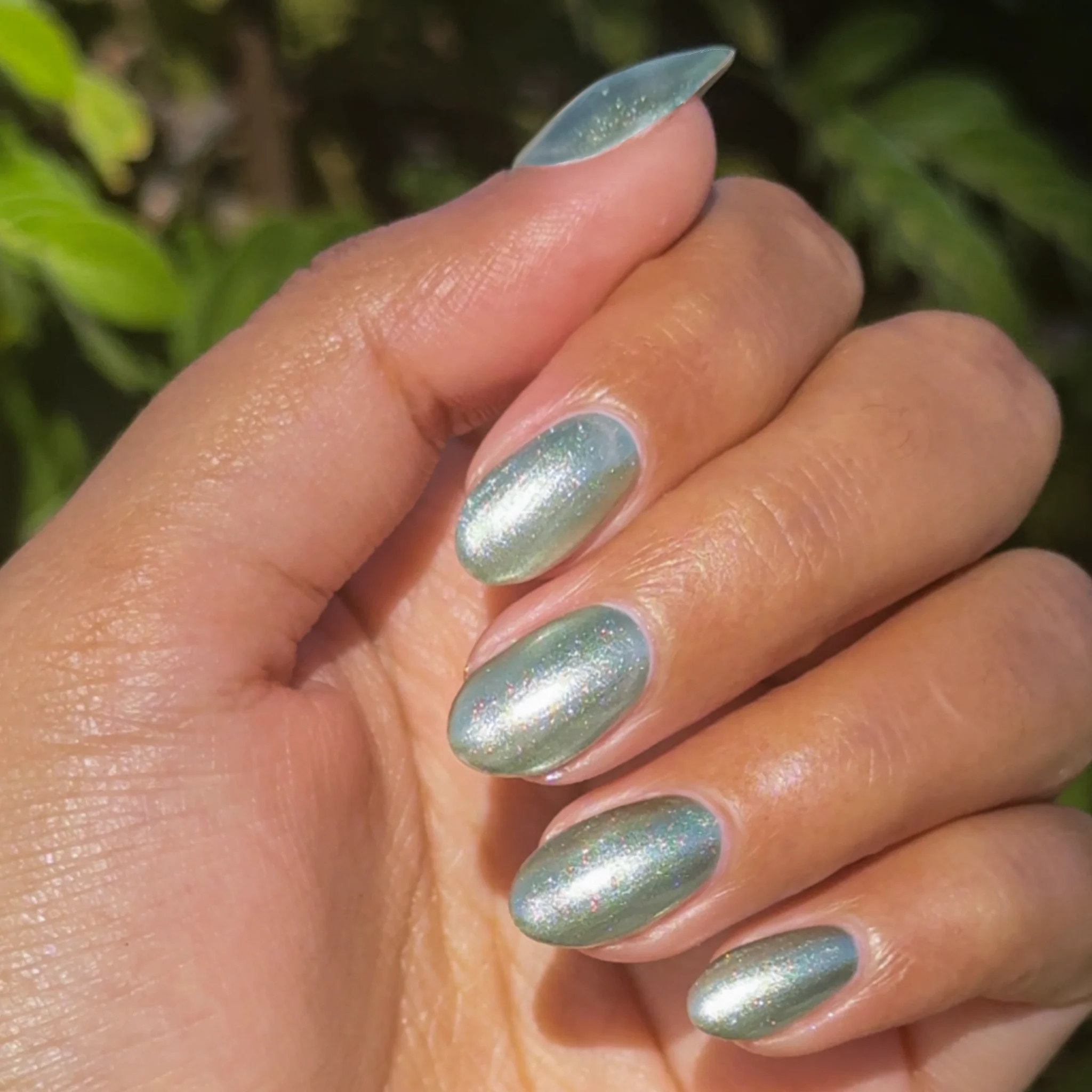 Jade Velvet - Image 6