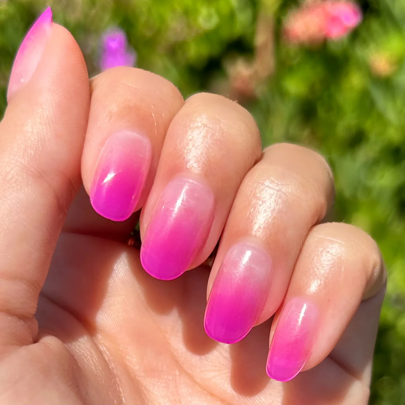 Jelly Magenta Gradient - Press-On | Short | Round - Image 5