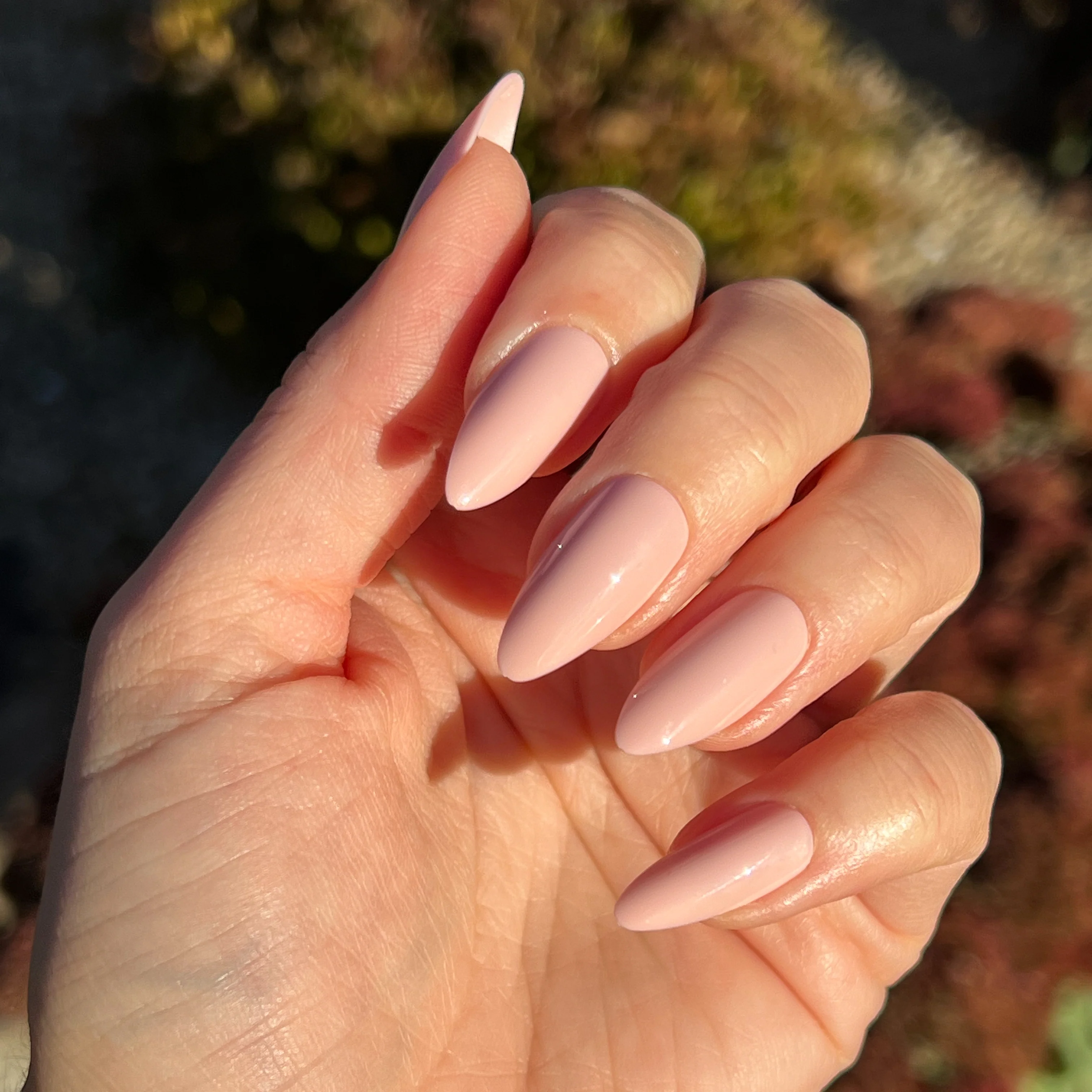 KAG - Press-On | Long | Almond - Image 8
