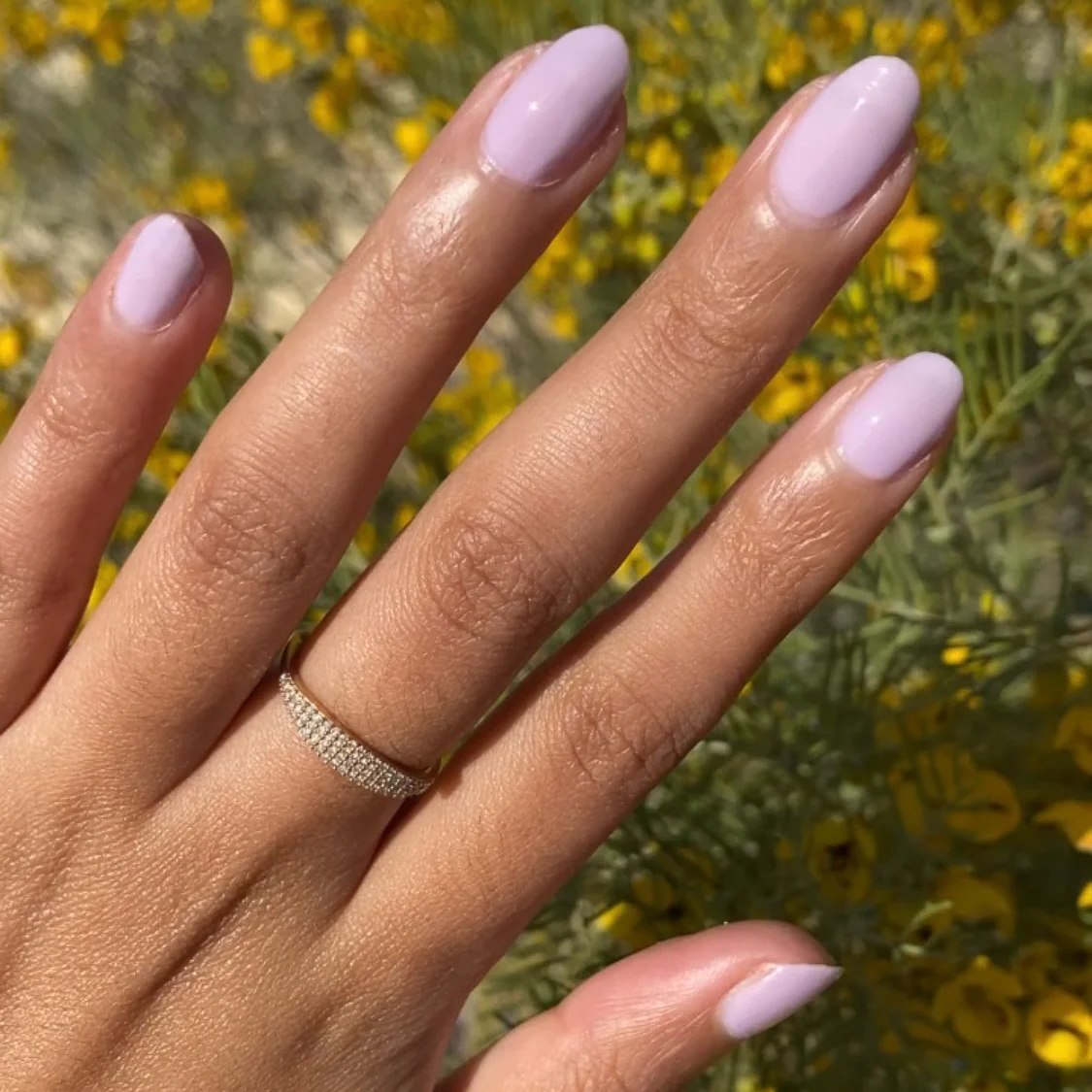 Lavender Stems - Image 8