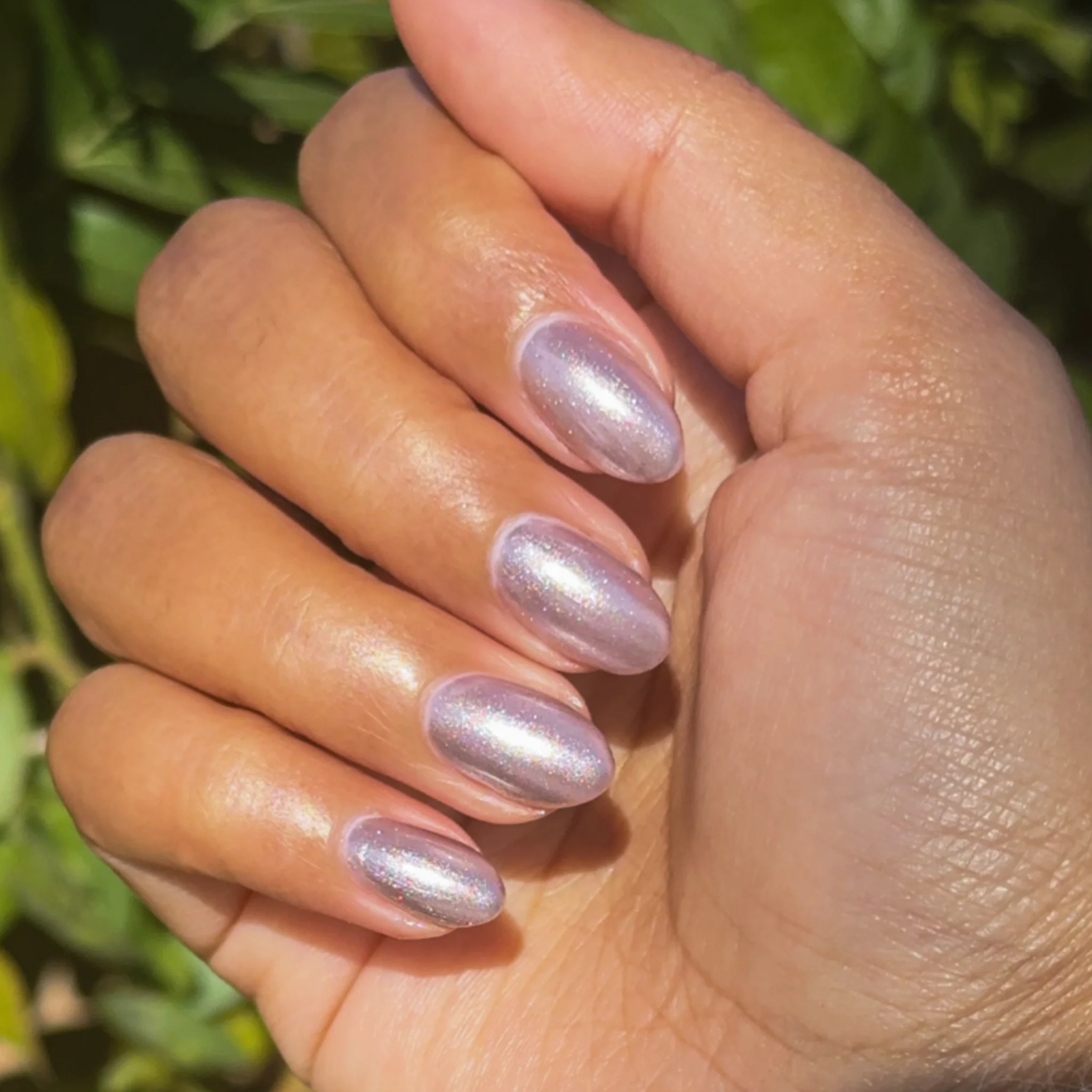 Lavender Velvet - Image 6