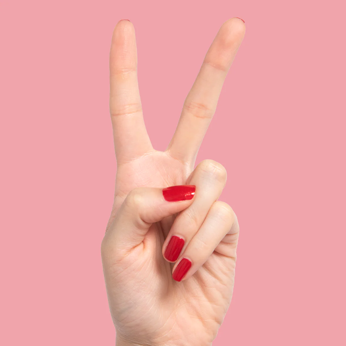 Lippy - Image 5