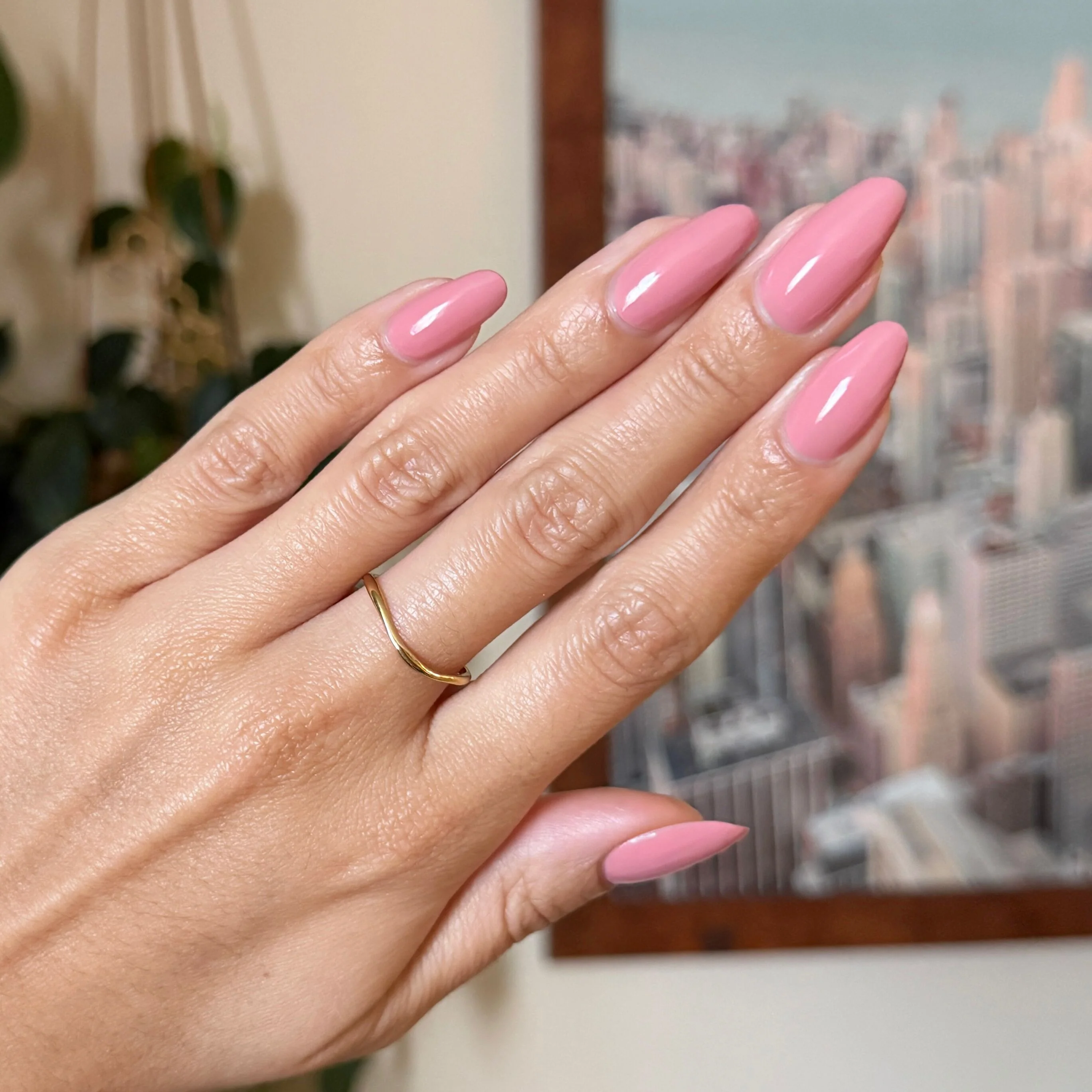 Lovely - Image 6