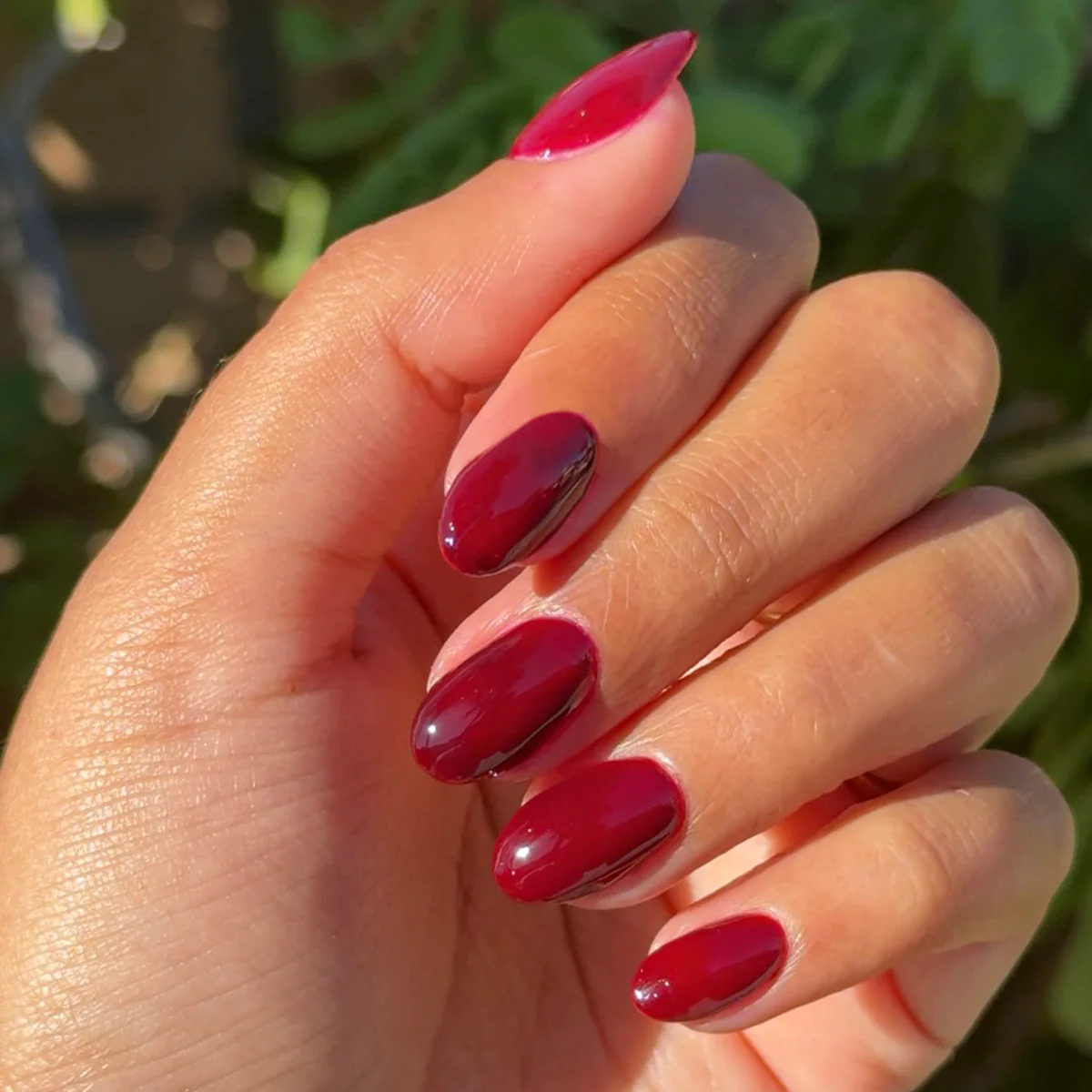 Mulberry - Gel - Image 7