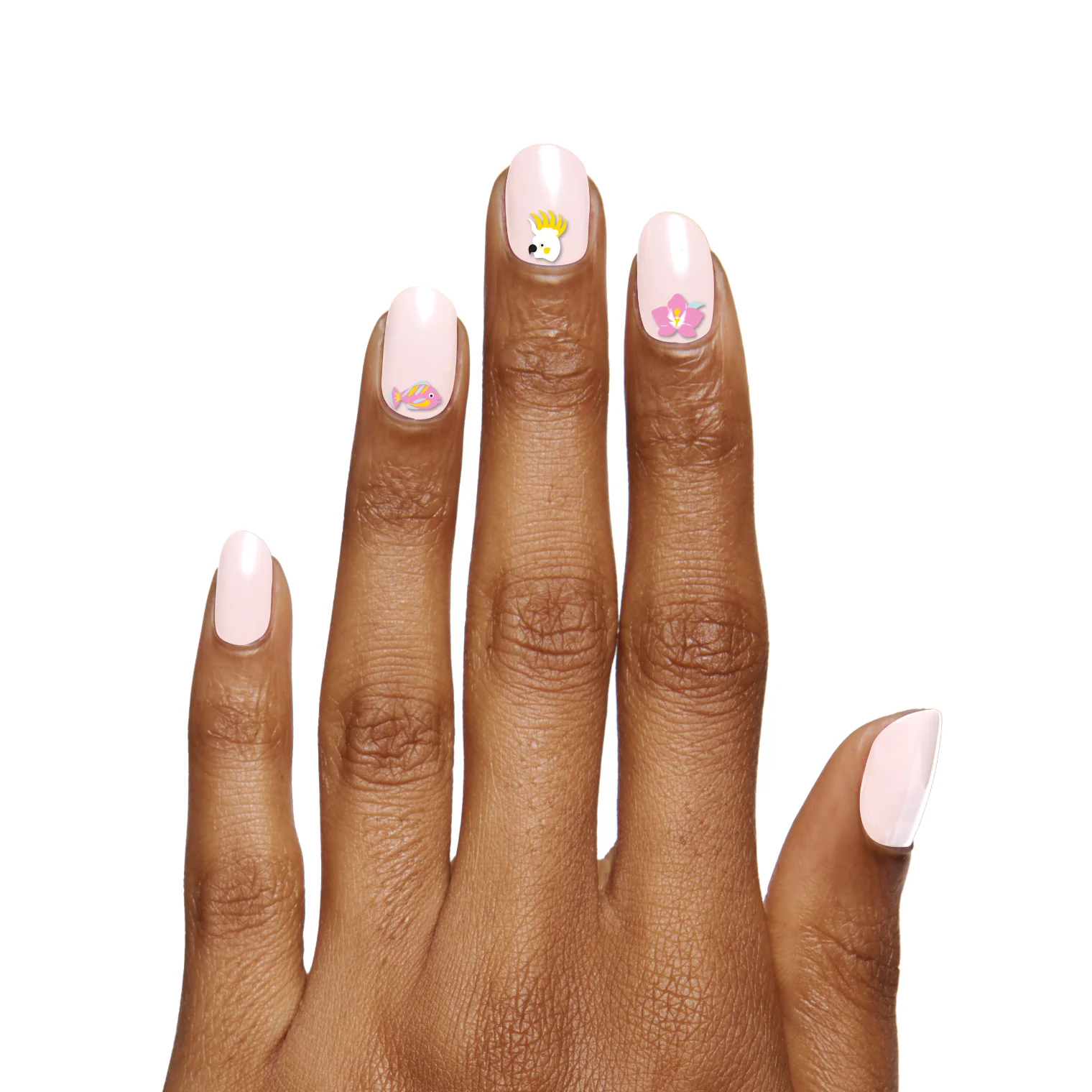 Nail Paradise - Image 3