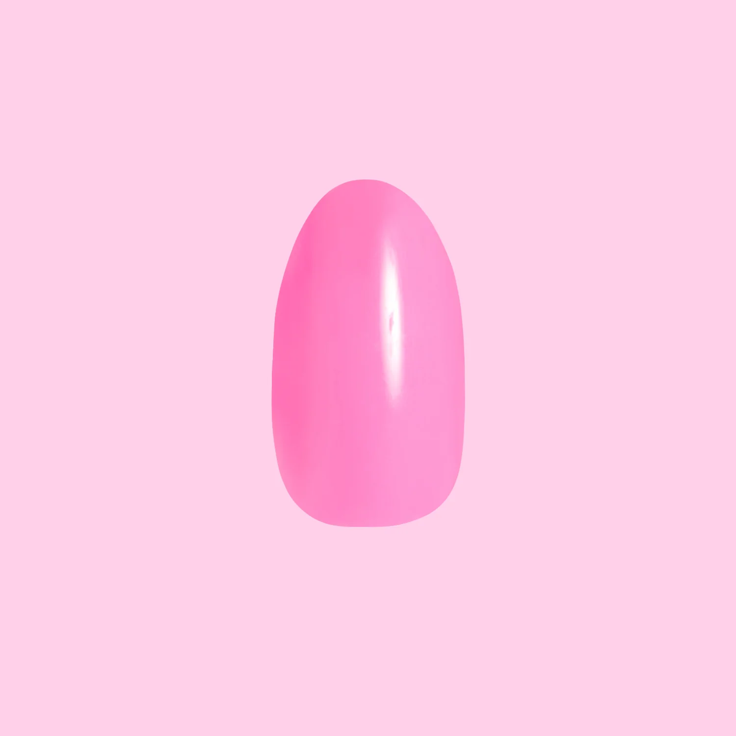 Neon Flamingo | Oval | Medium - Image 2