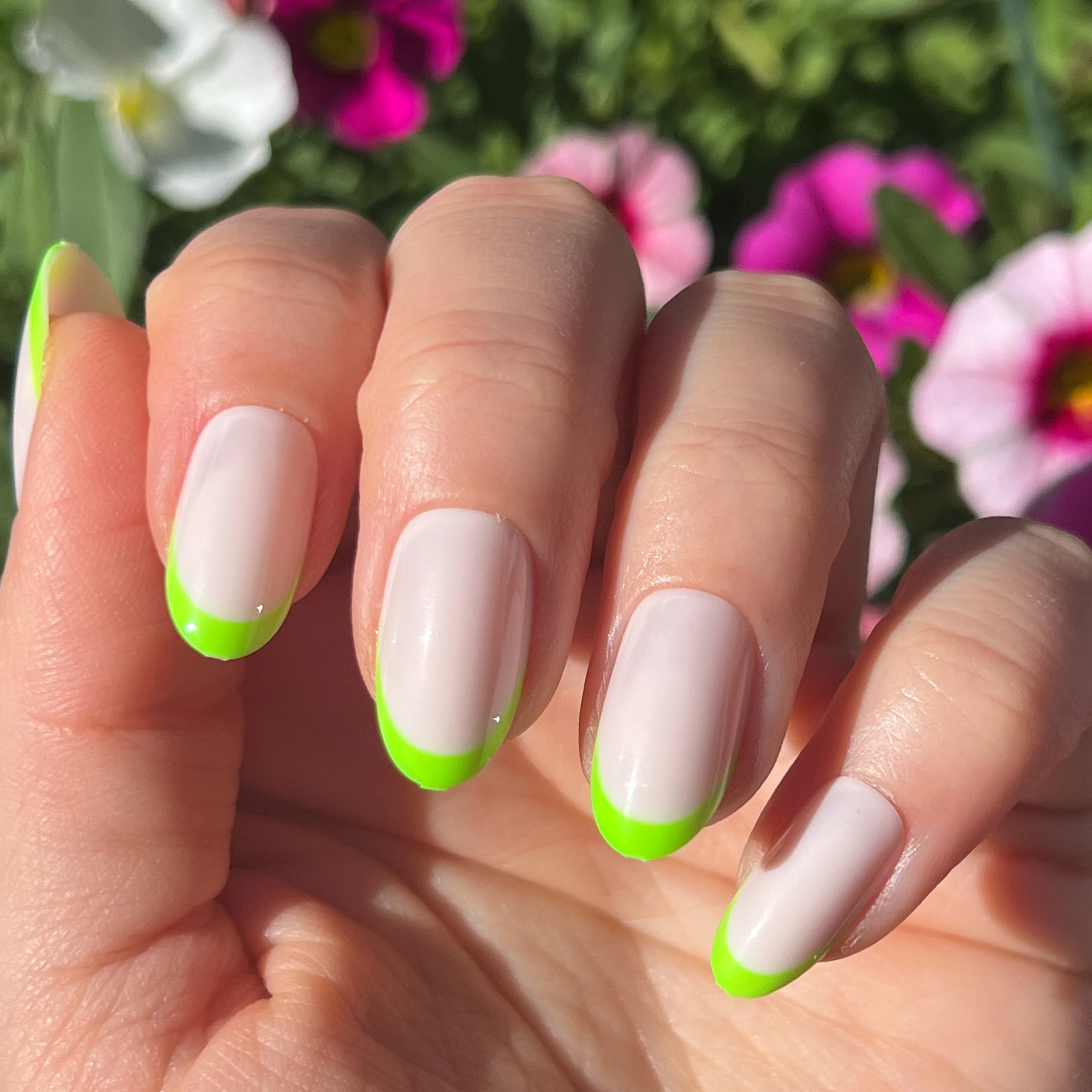 Neon Lime French | Oval | Medium - Image 4