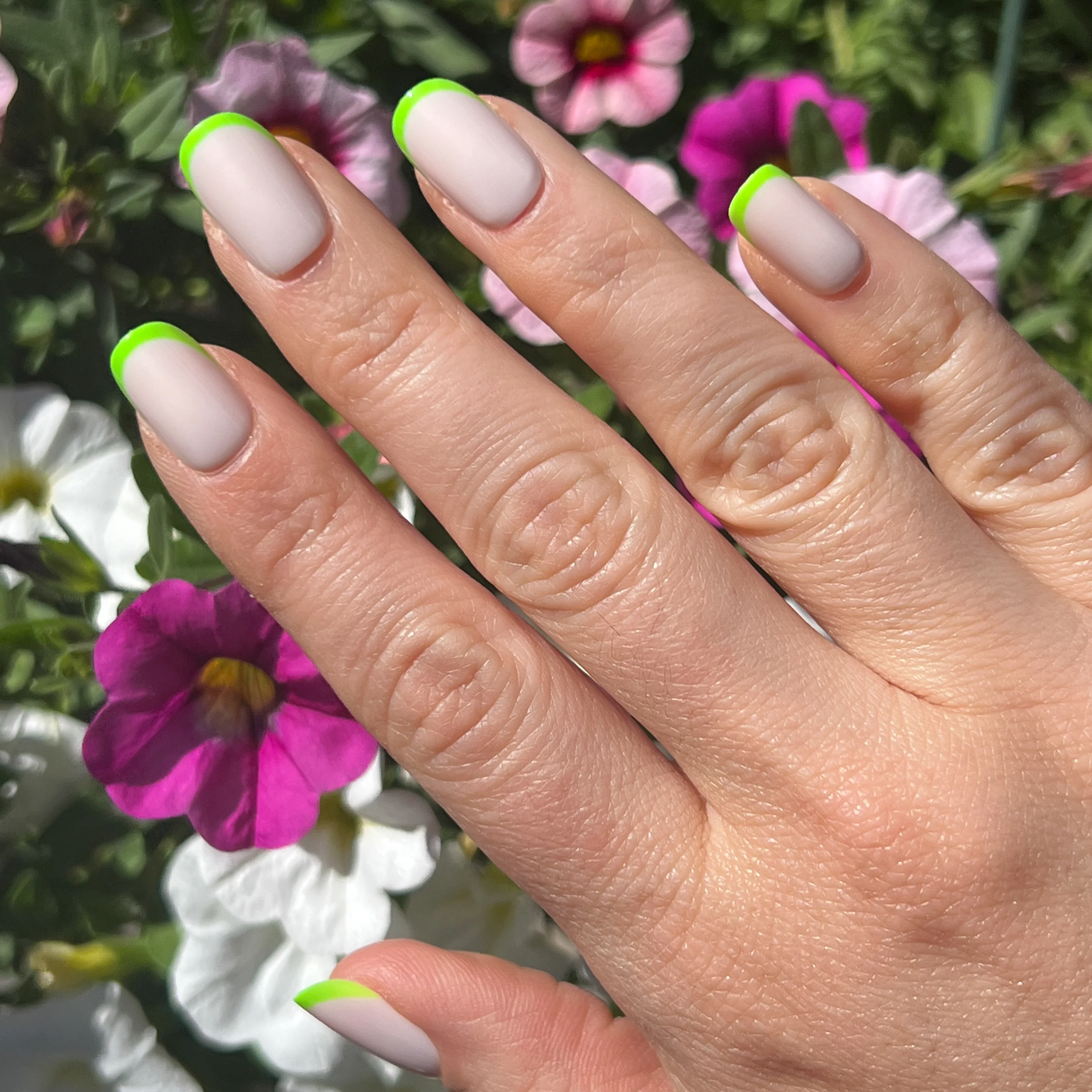 Neon Lime French | Squoval | Short - Image 5