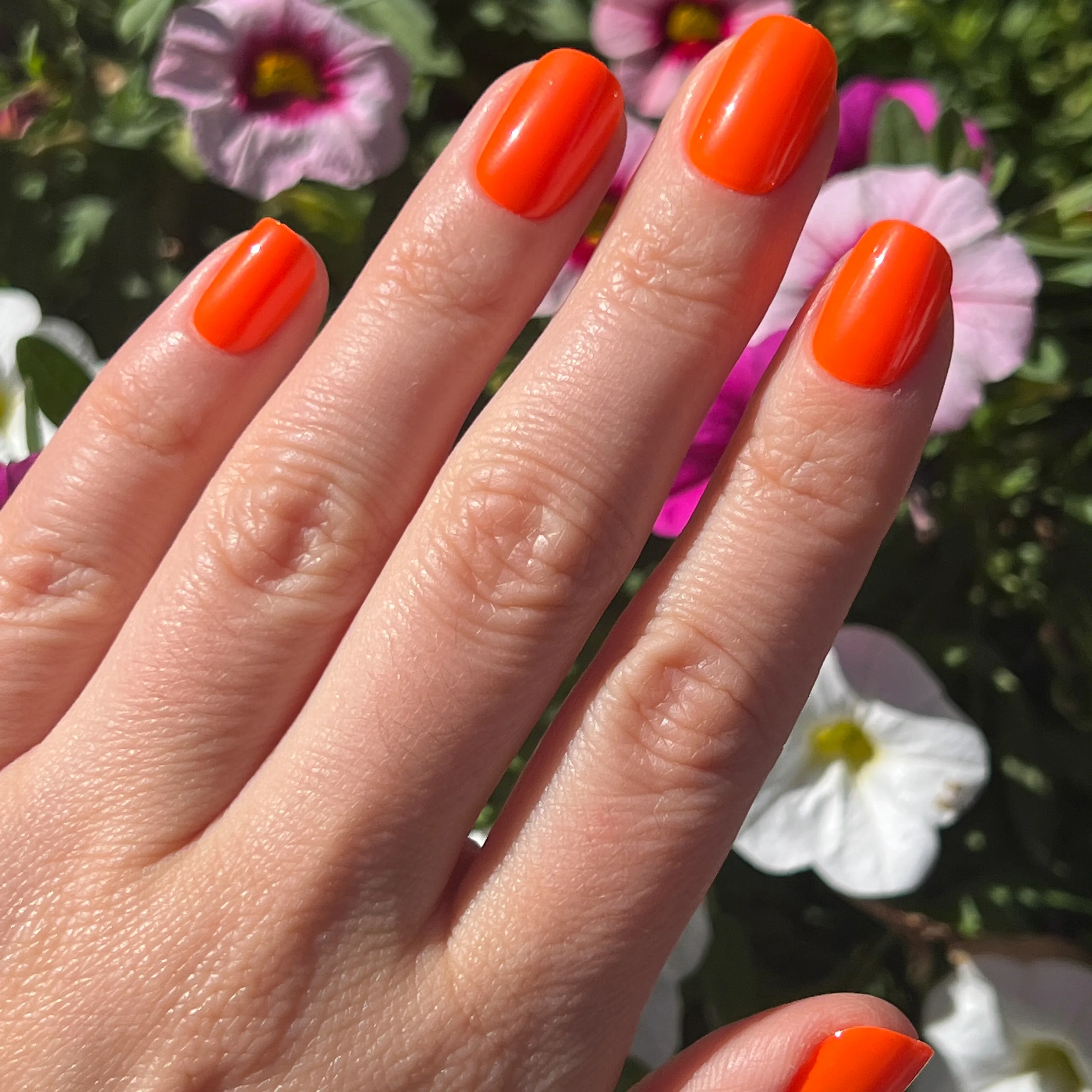 Neon Tangerine | Squoval | Extra Short - Image 5