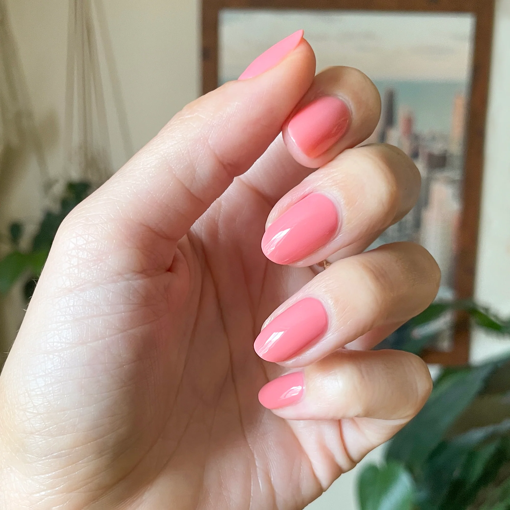 Papaya Gloss - Image 6