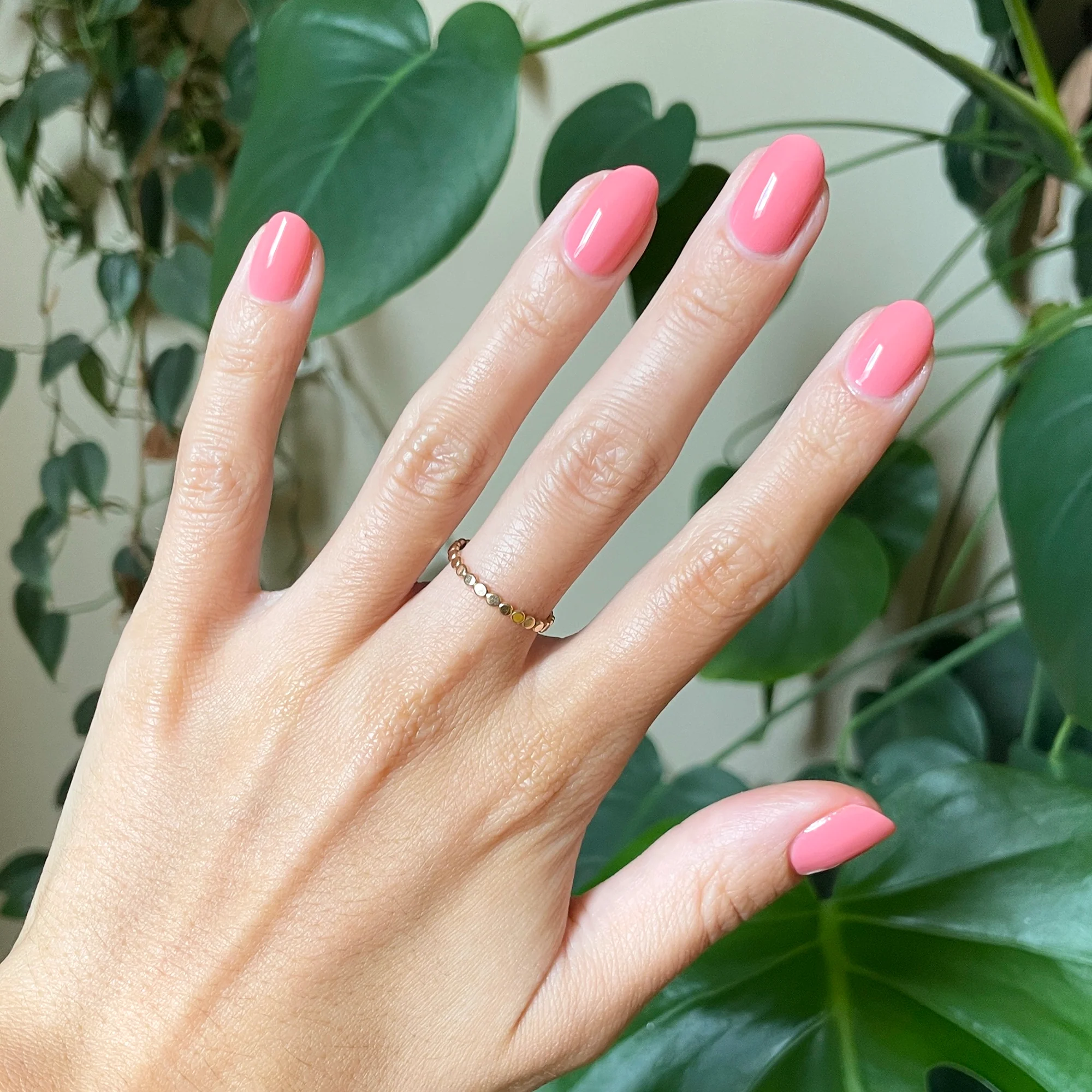 Papaya Gloss - Image 8