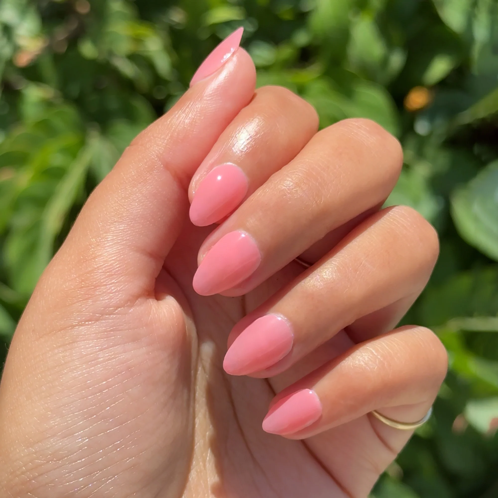 Papaya Gloss - Image 9