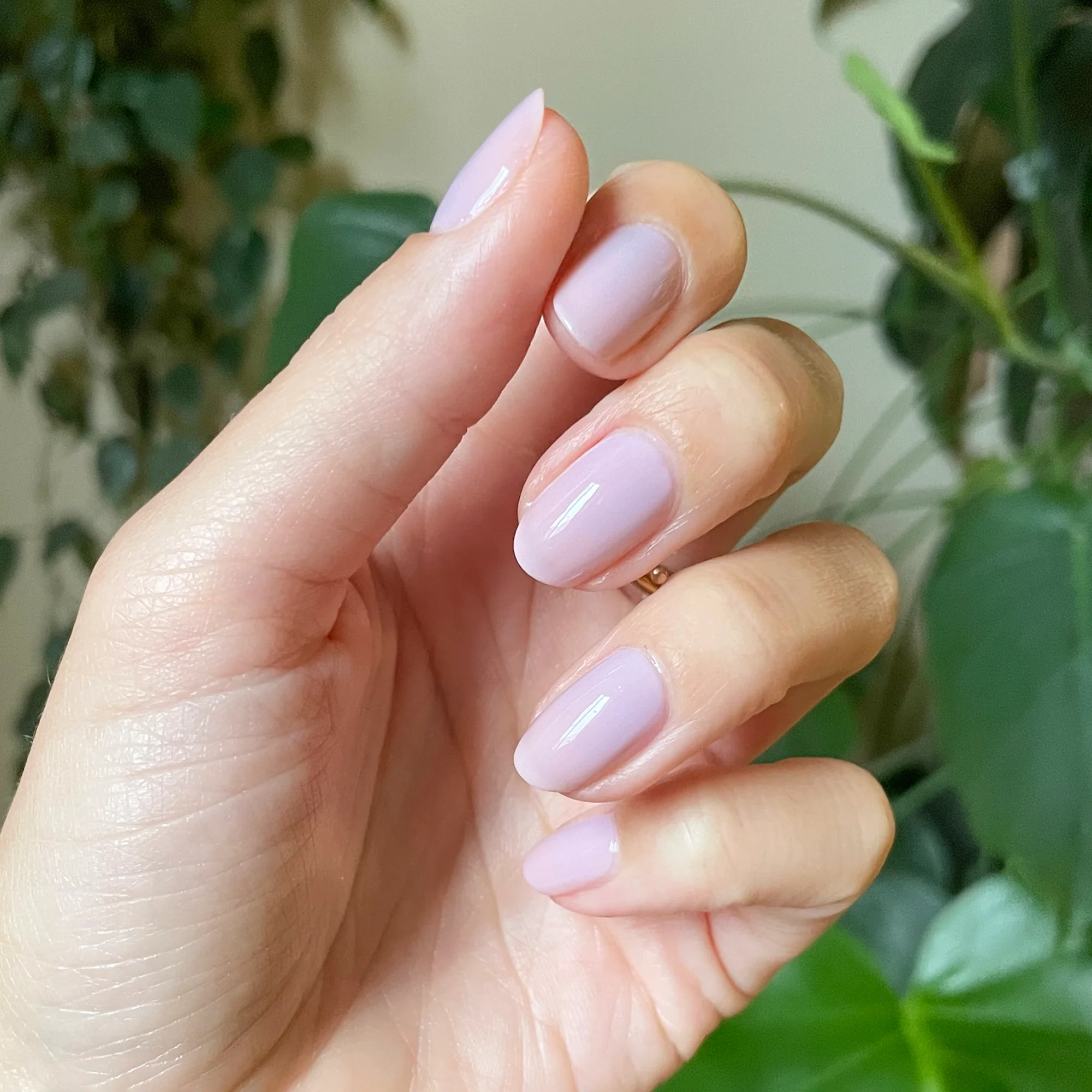 Passionfruit Gloss - Image 7