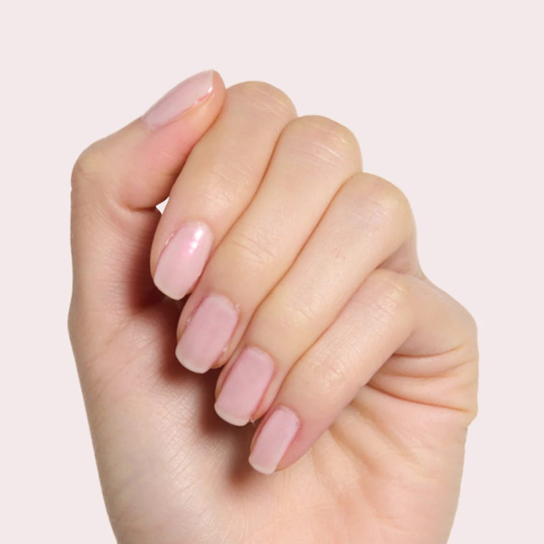 Pink Capiz - Image 2