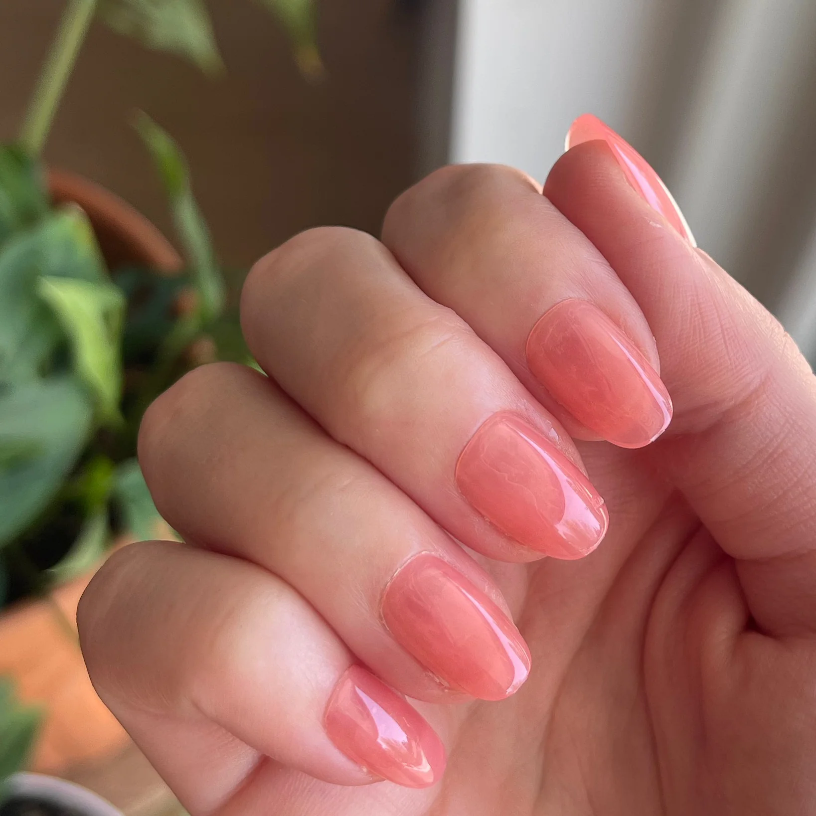 Pink Jelly - Press-On | Short | Round - Image 4