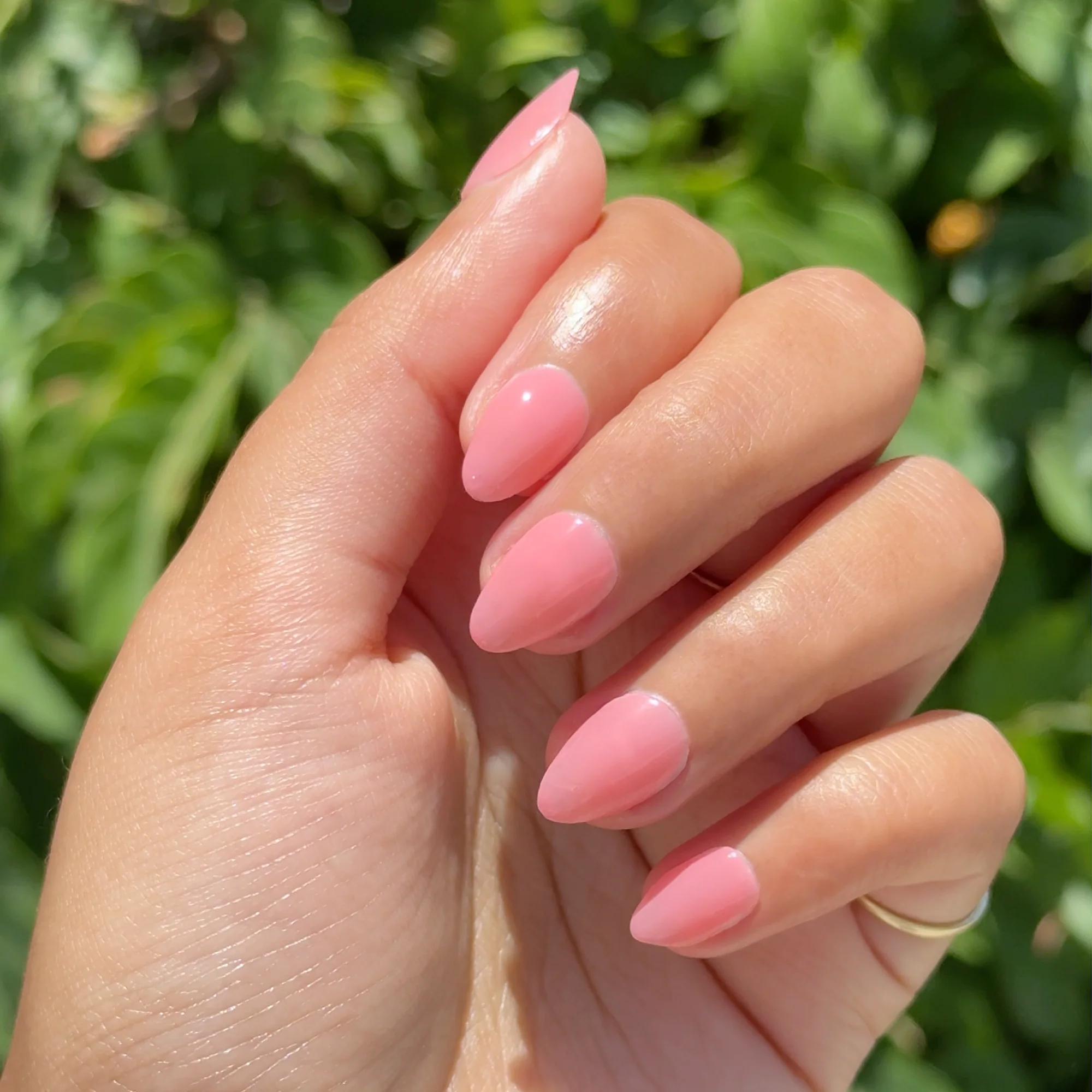 Pink Pineapple Gloss - Image 6