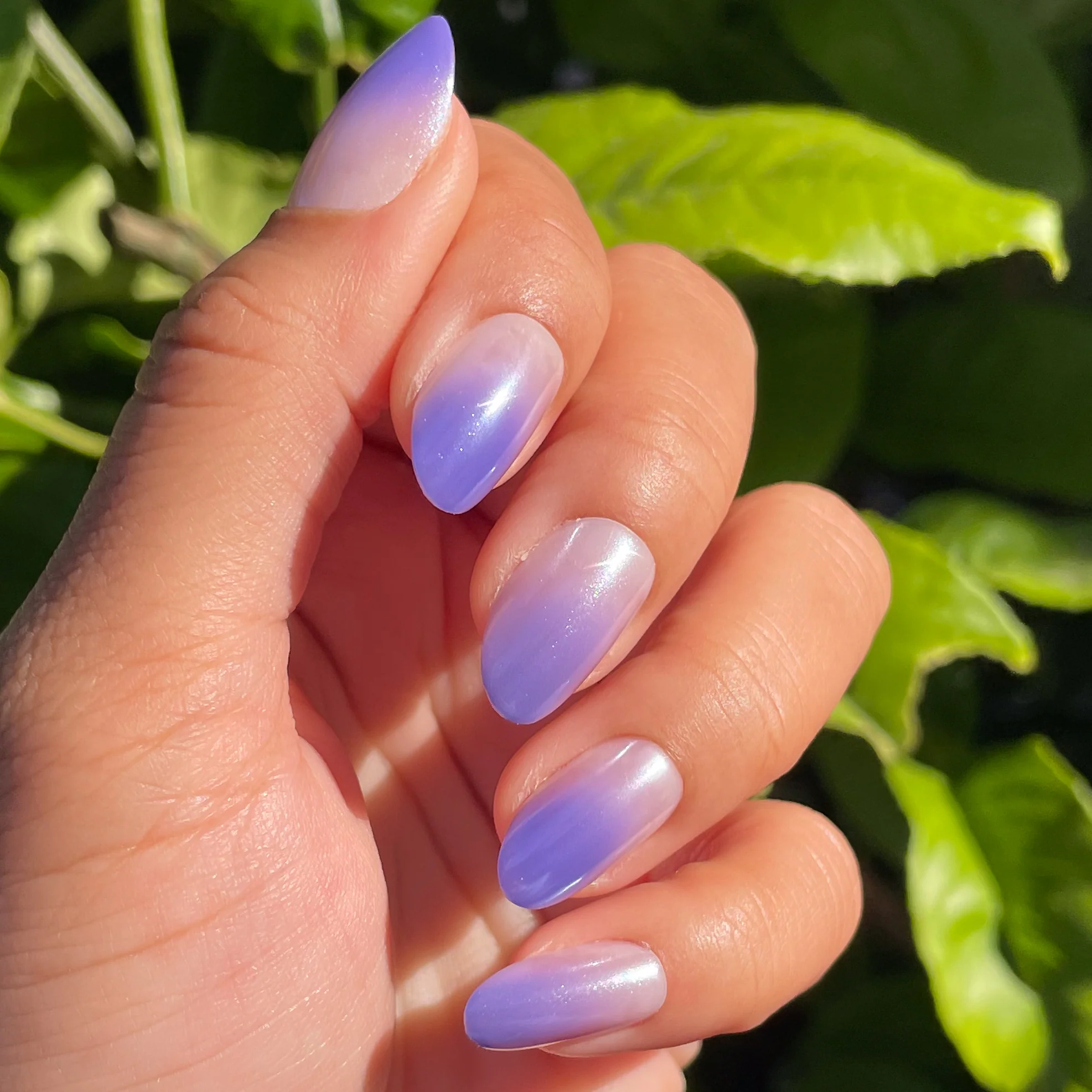 Purple Chrome Gradient - Press-On | Medium | Oval - Image 4