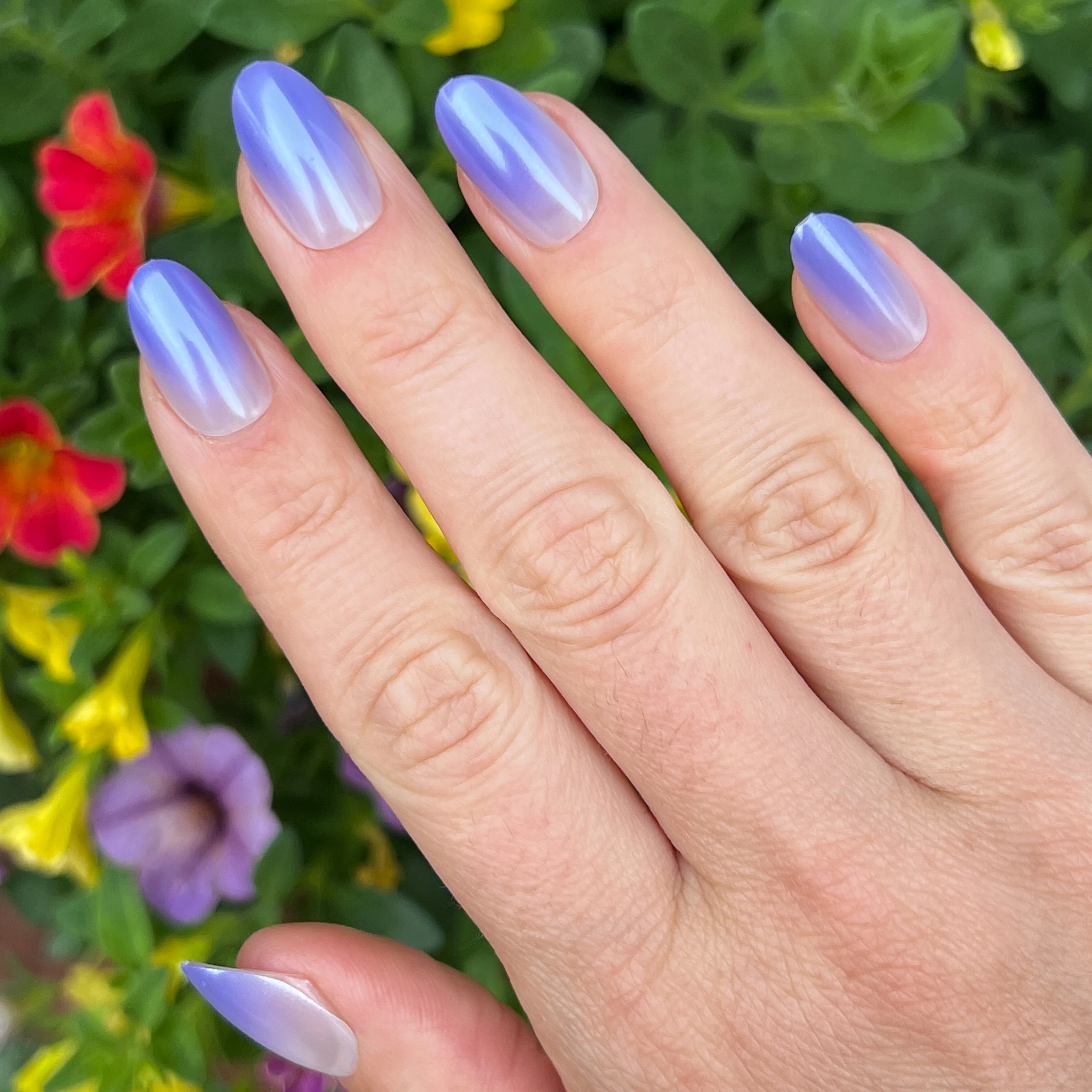 Purple Chrome Gradient - Press-On | Medium | Oval - Image 5