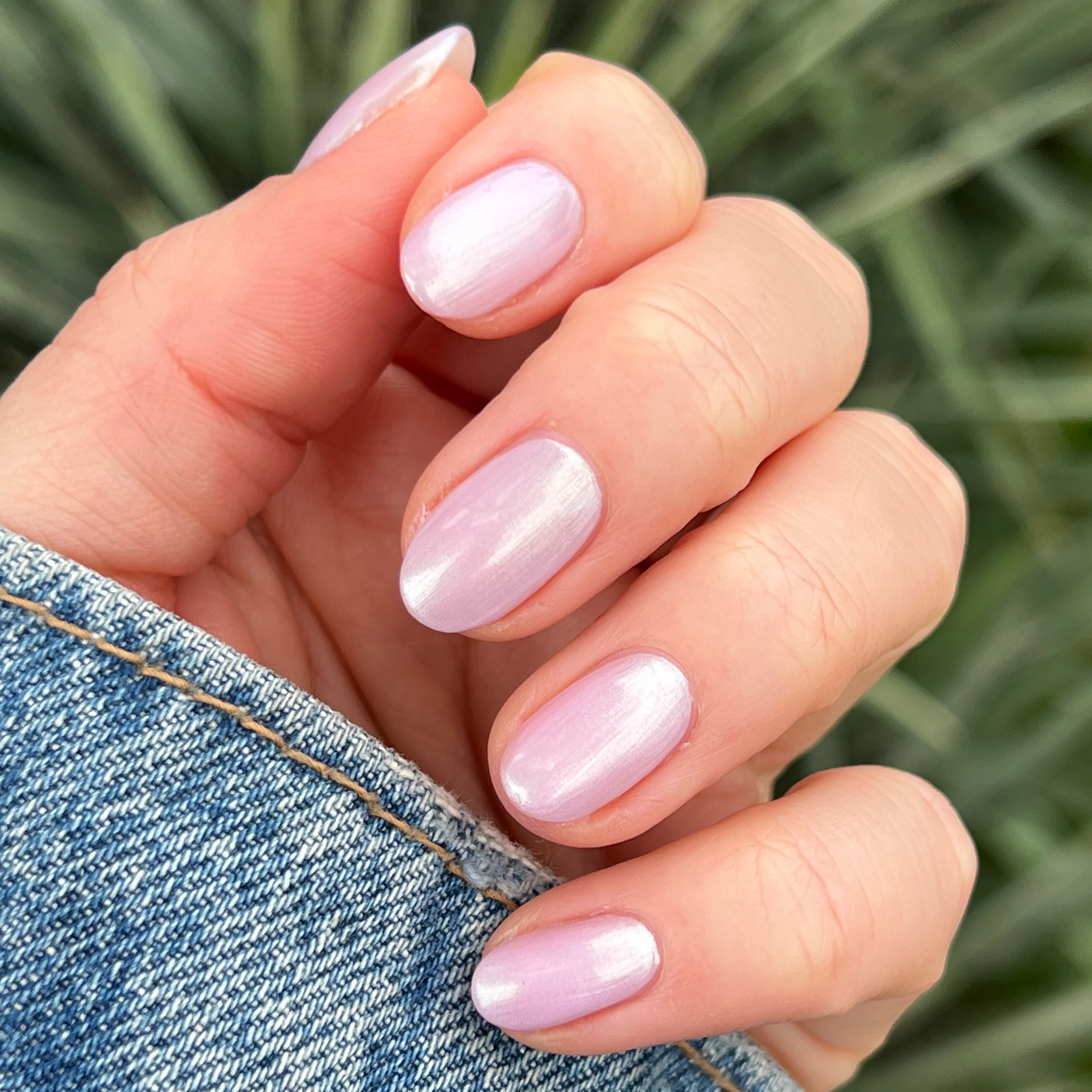 Purple Puka - Image 8