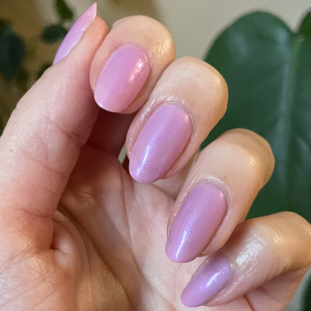 Purple Season - Image 4