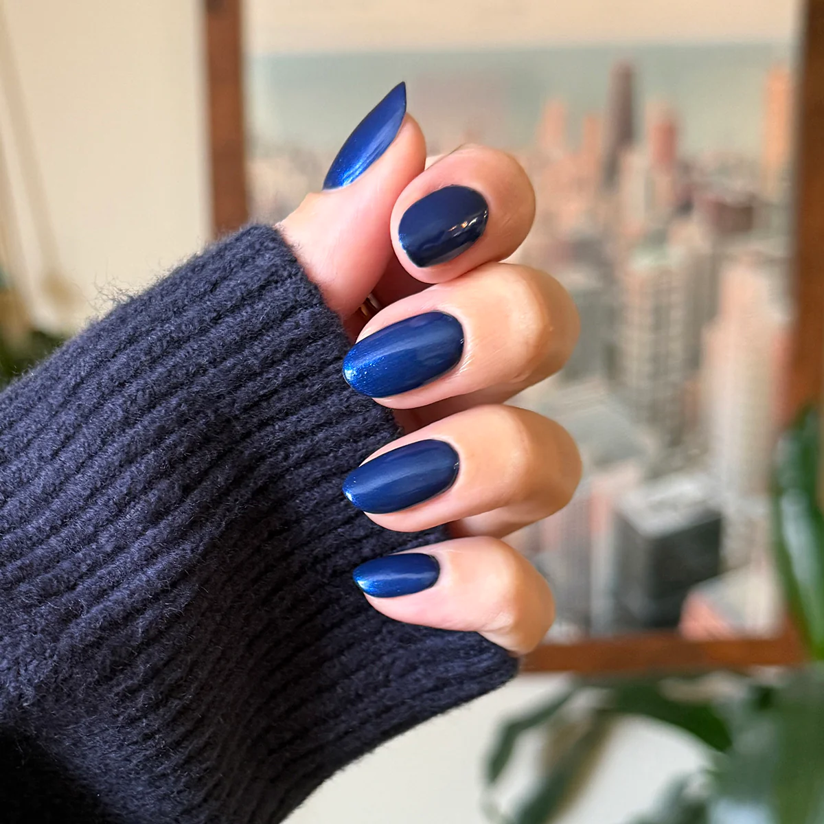 Sapphire Season - Image 6