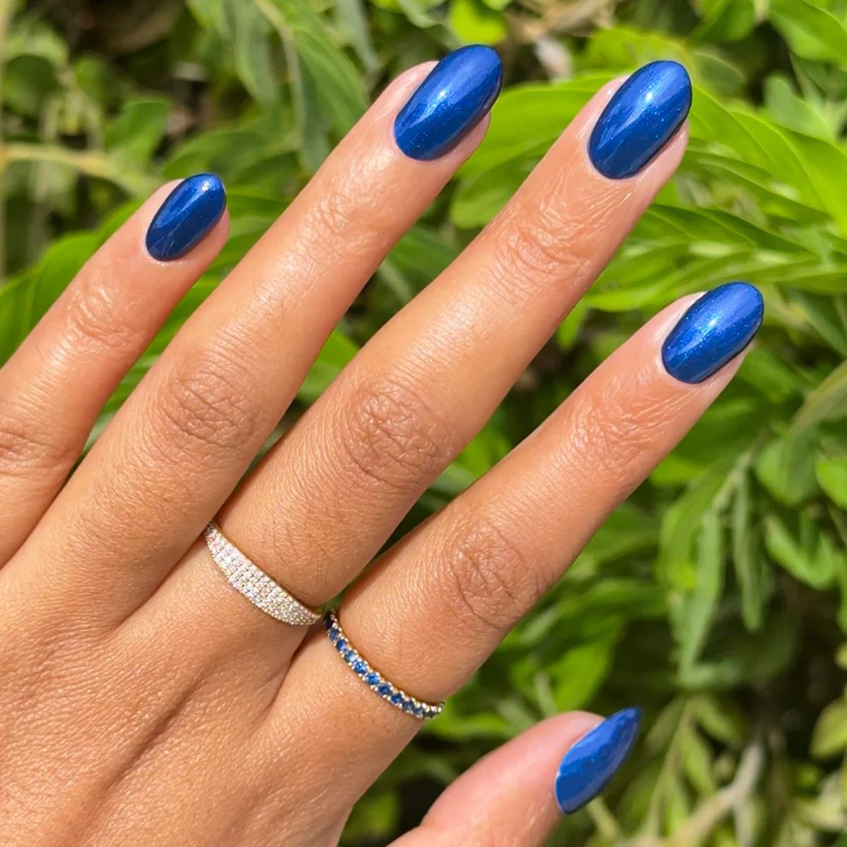 Sapphire Season - Image 8