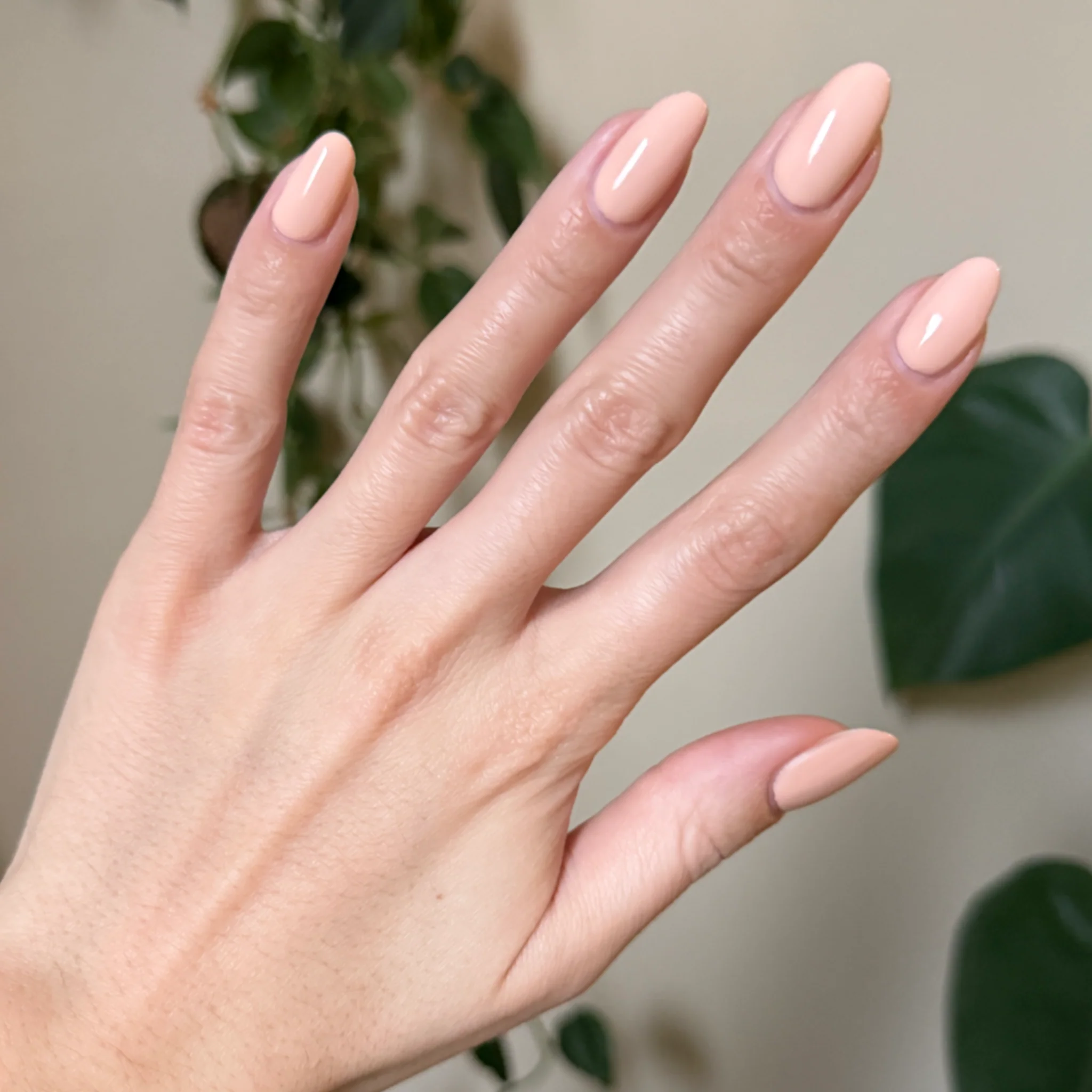 Silky - Image 8