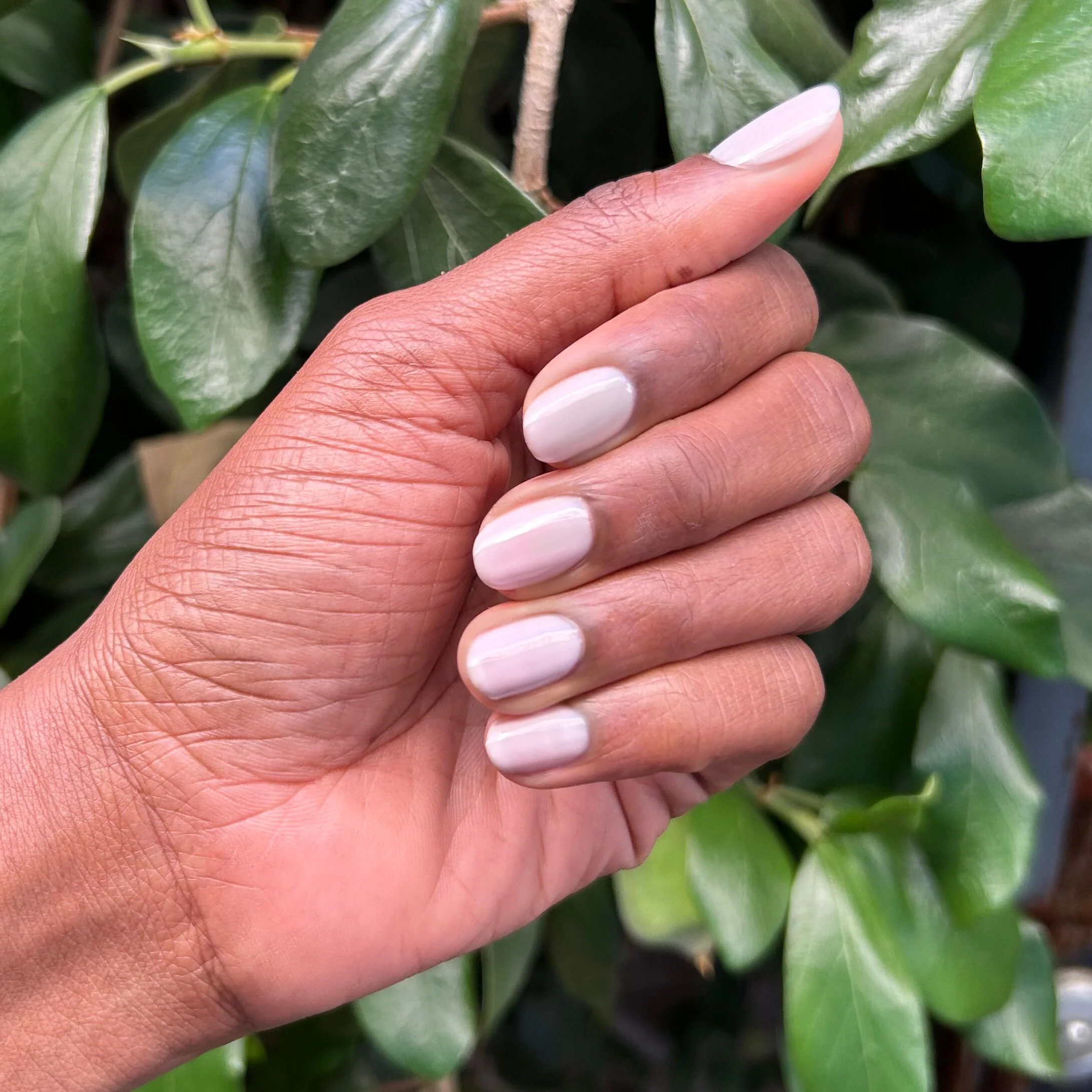 Spring 2026 Long-Lasting + Gel Set - Image 10