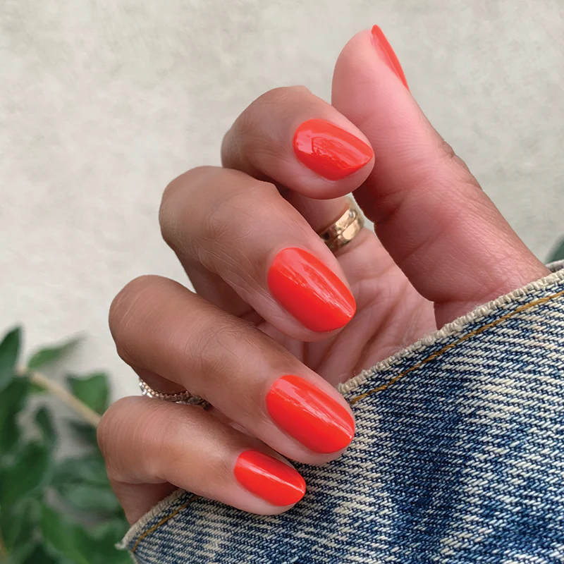 Spring Bestsellers Long Lasting Set - Image 7
