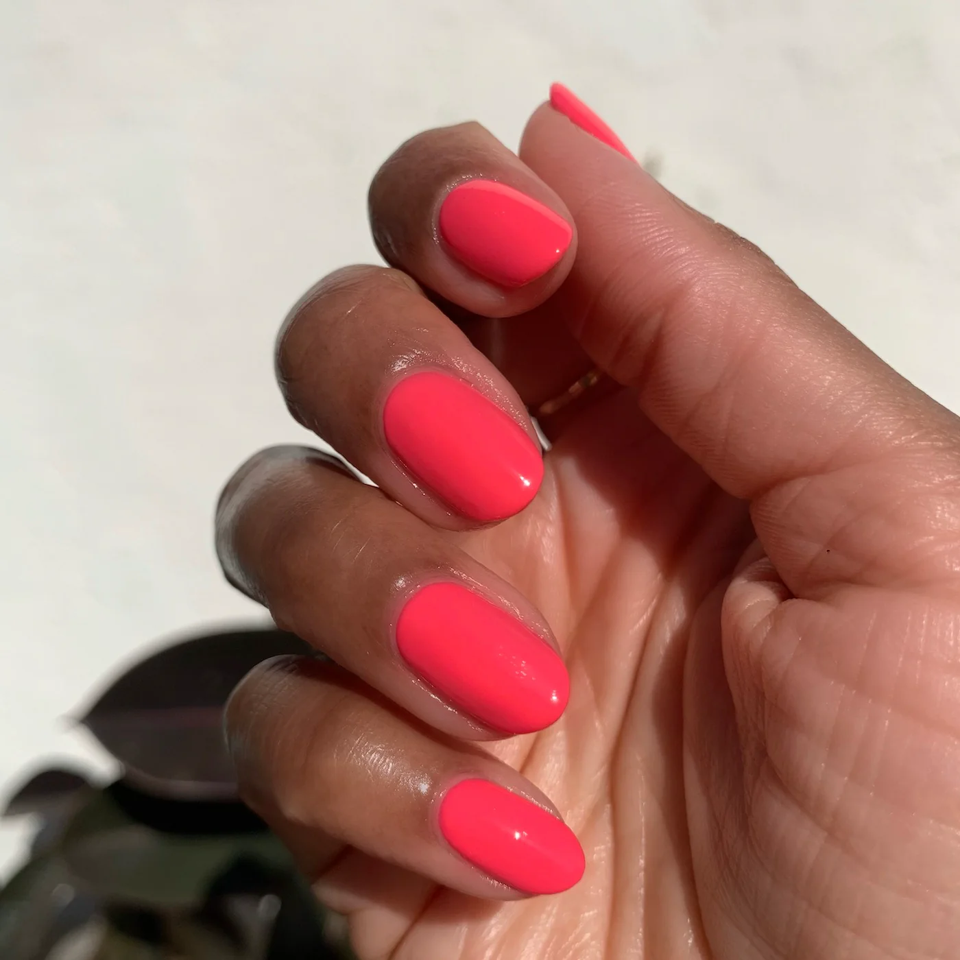 Summer Brights Mani System - Image 7